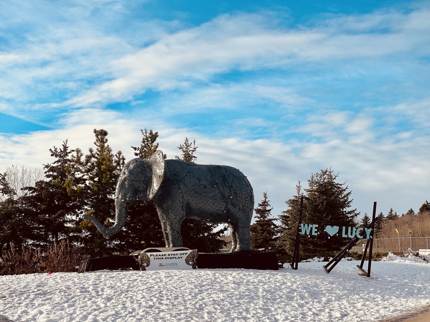 Kind of reminds of Alaska Zoo’s Maggie Saga
