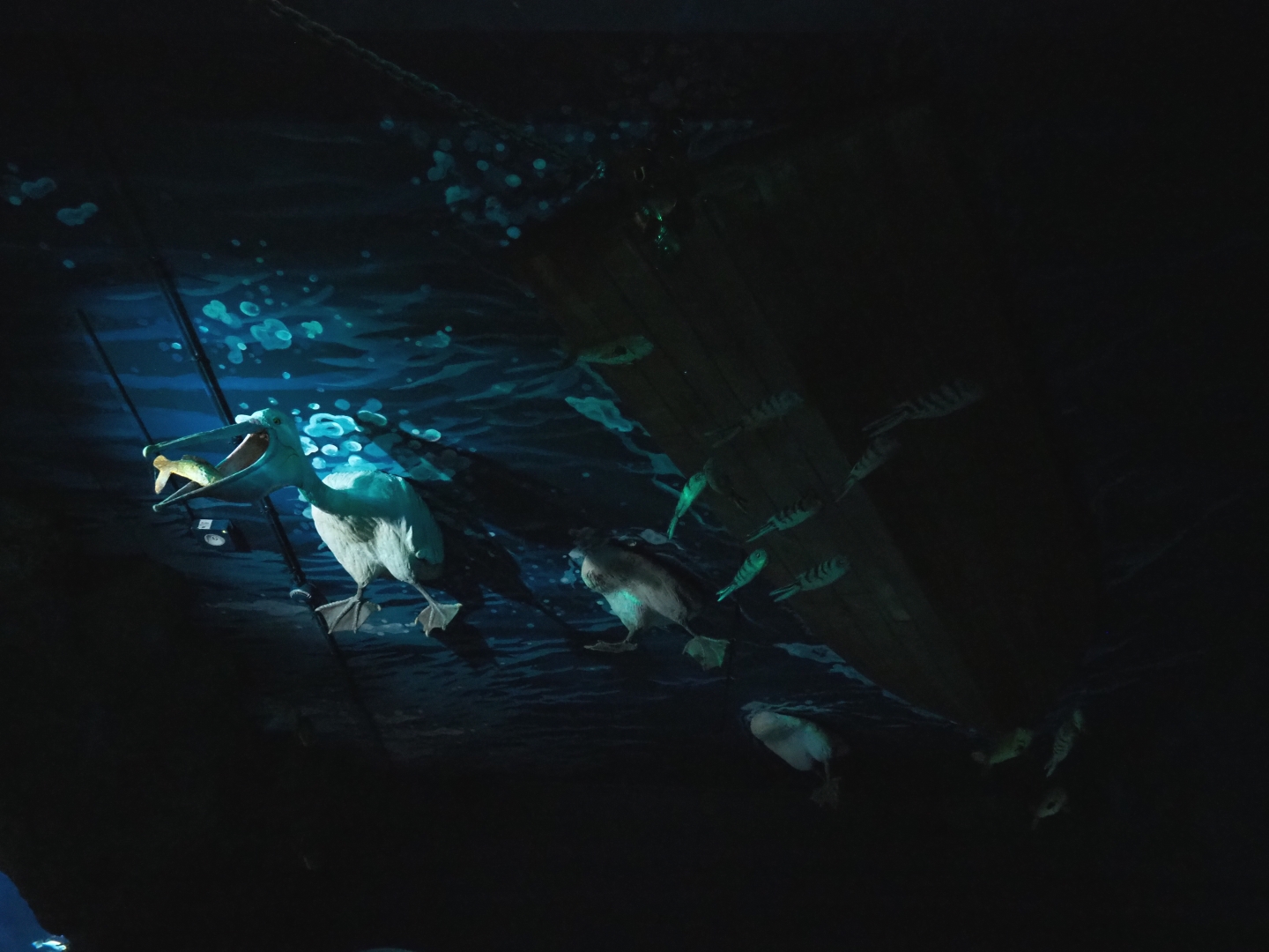 Kinda strange ceiling theming (Nov 10th, 2018)