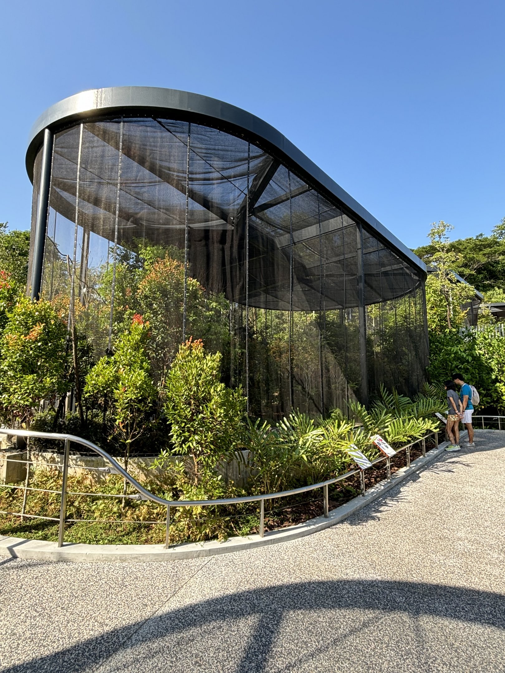 King Bird of Paradise + Twelve-wired Bird of Paradise