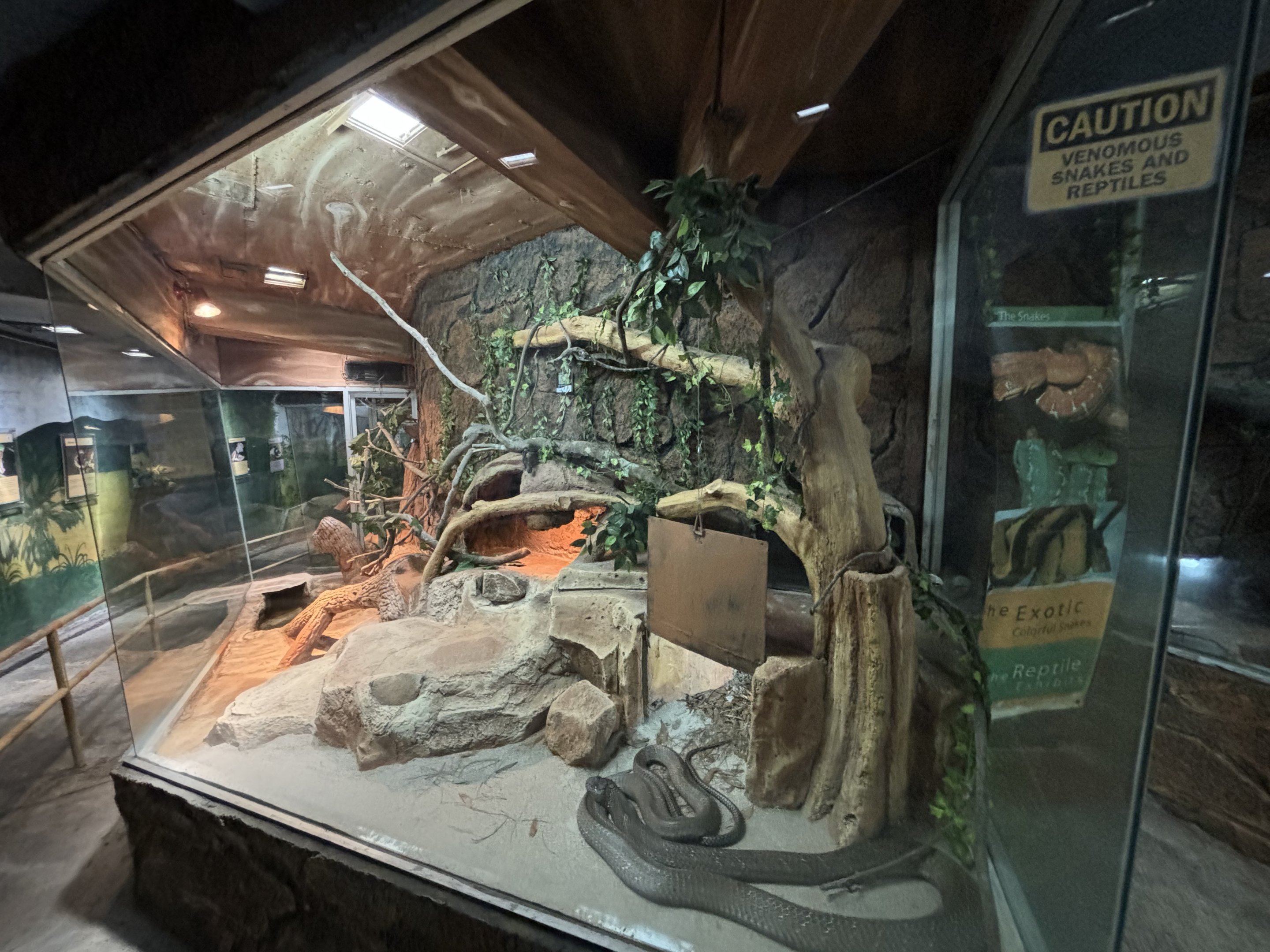 King Cobra Exhibit - Reptile Tunnel