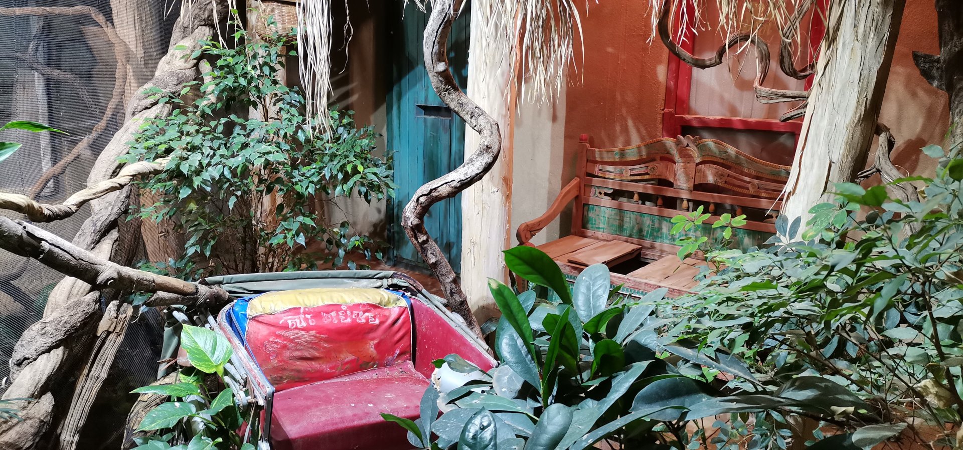 King Cobra exhibit
