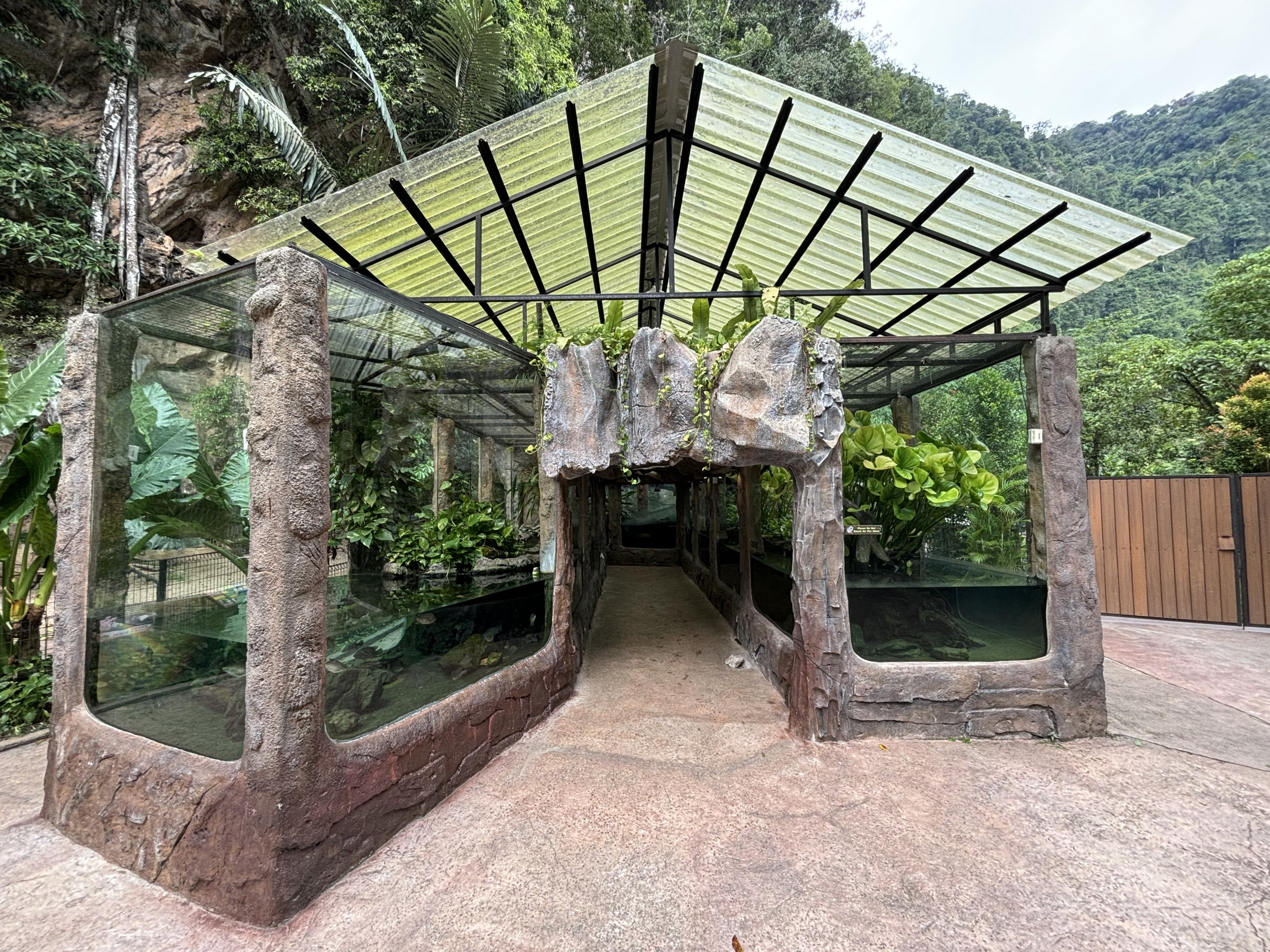 King Cobra + Fish Mixed Exhibit - Lost World of Tambun