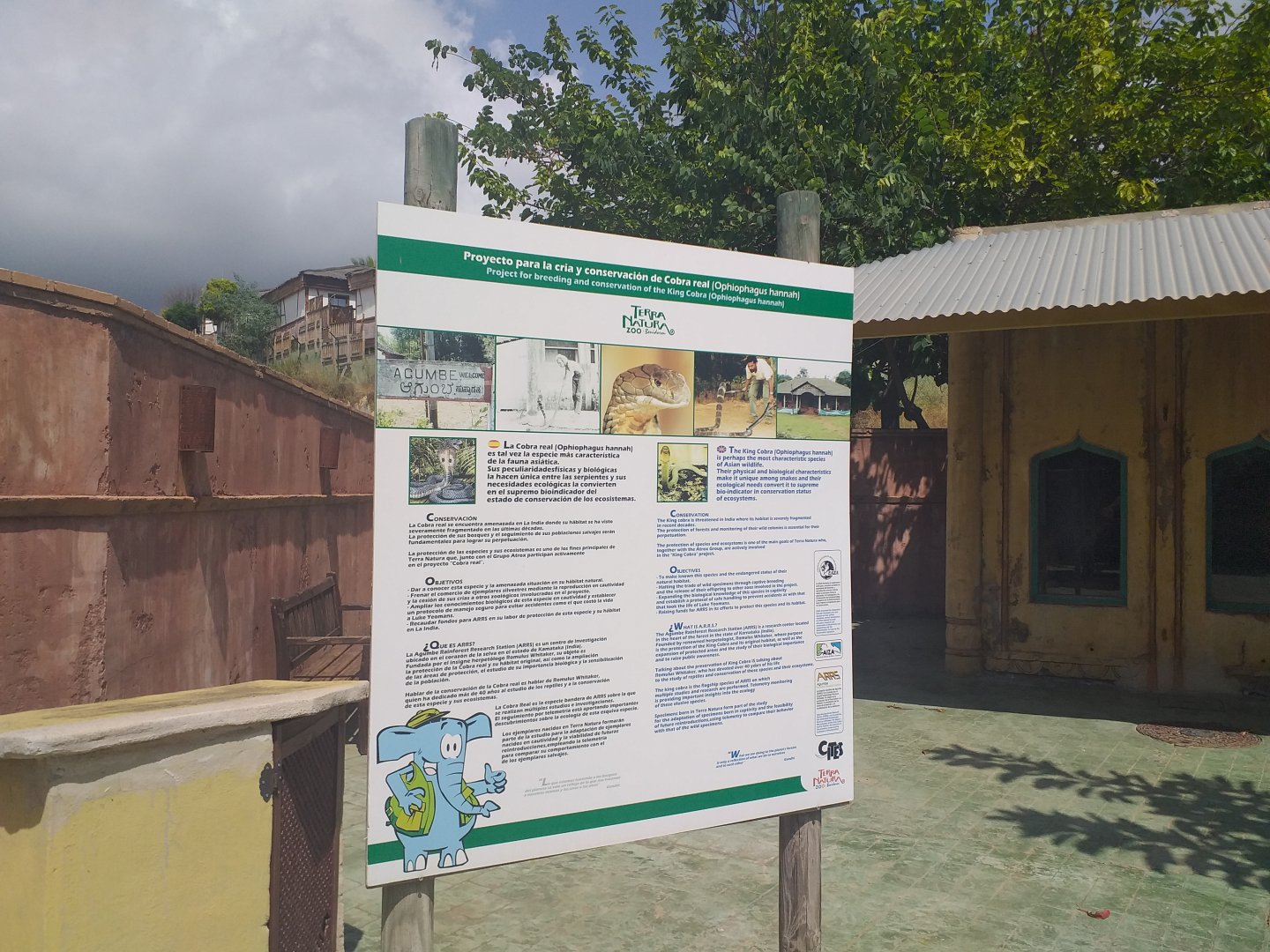King cobra sign -TerraNatura Benidorm (2021)