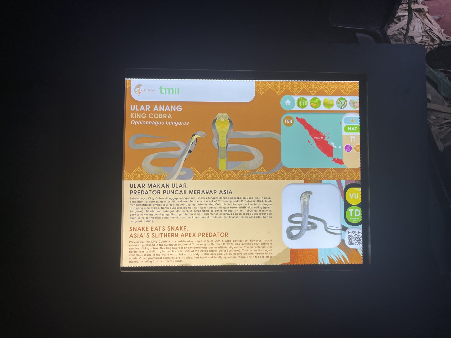king cobra signage - museum komodo