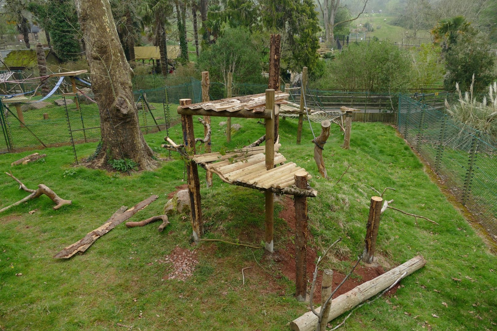 King Colobus enclosure, April 2022