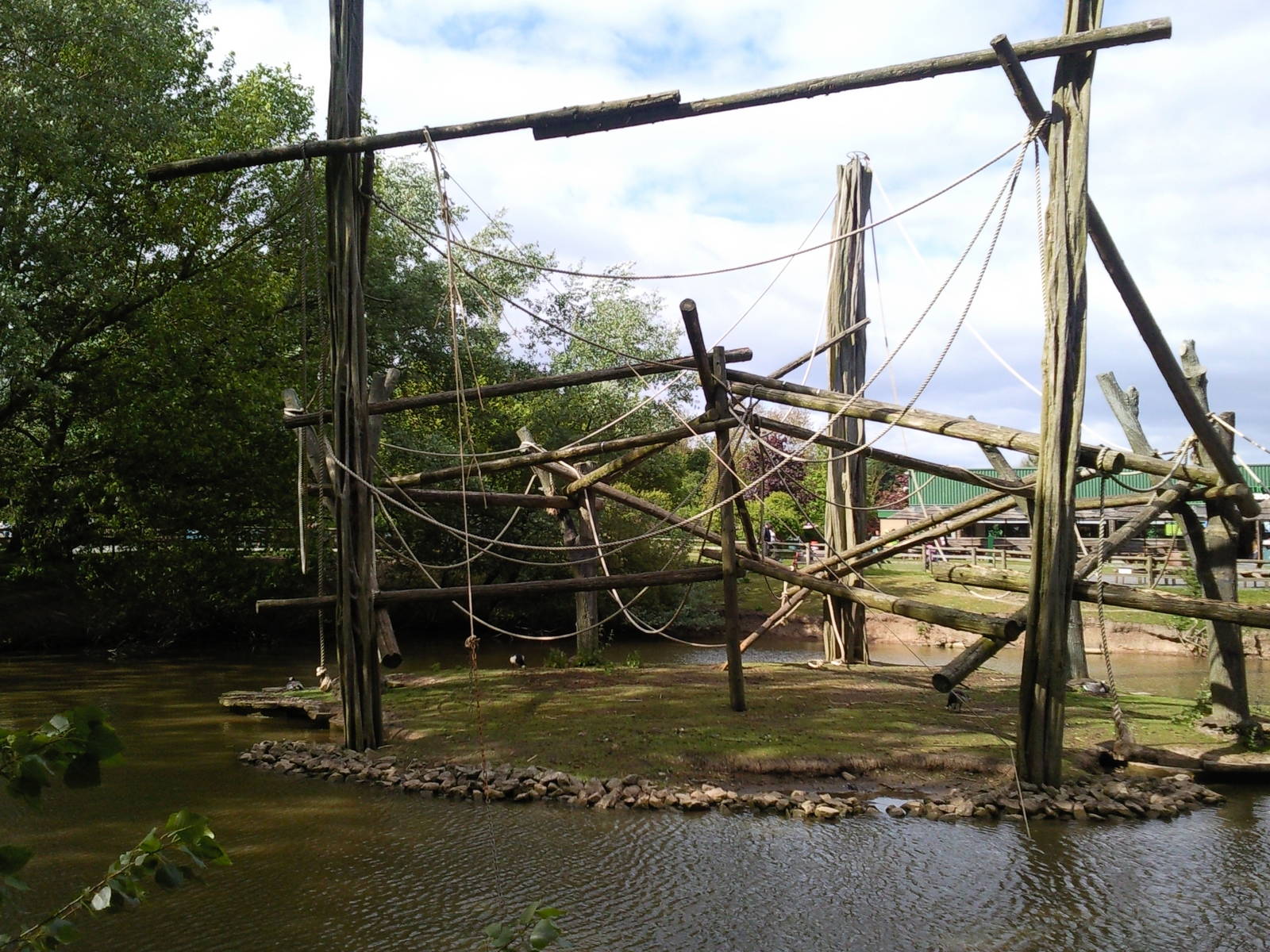 king colobus enclosure/island