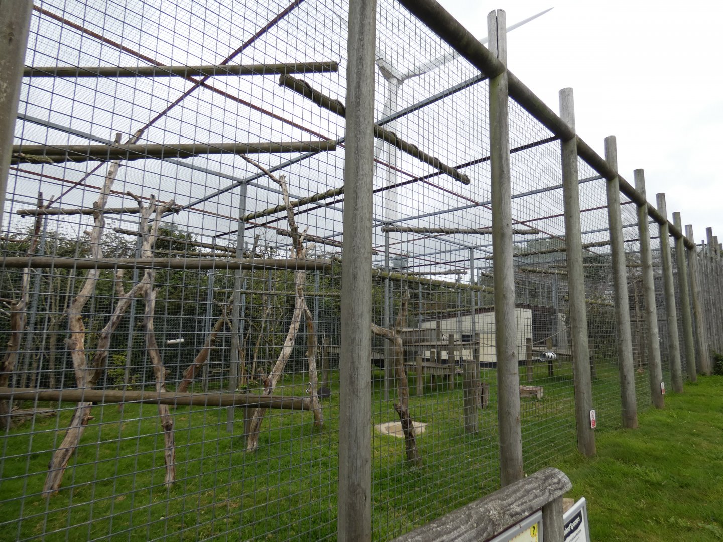 King colobus enclosure