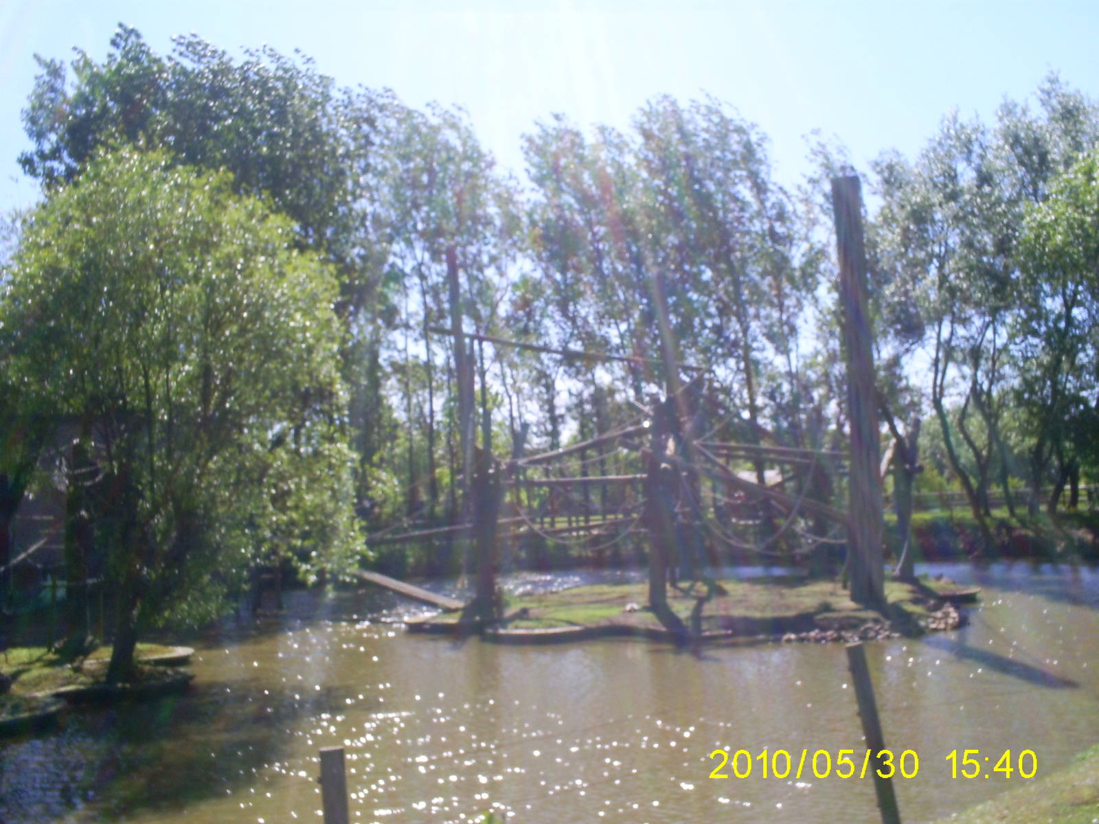 king colobus exhibit