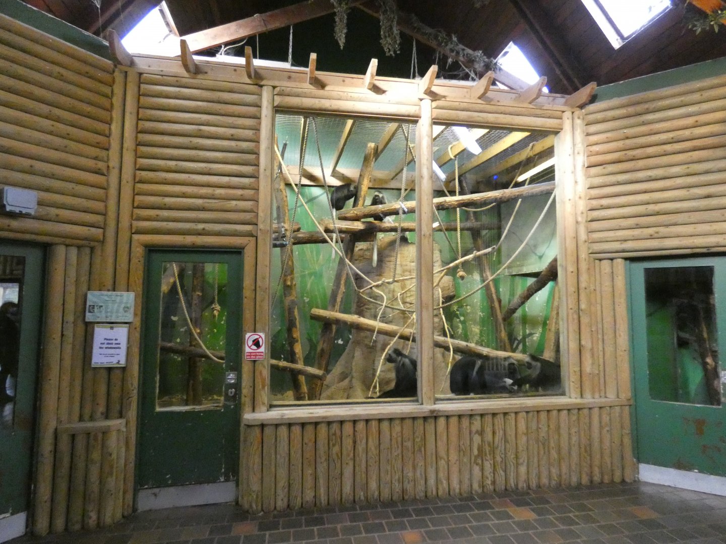 King colobus indoor enclosure
