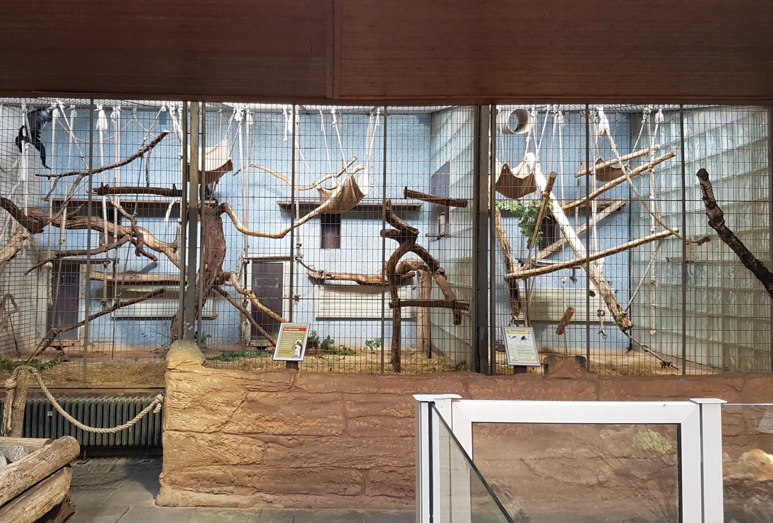 King colobus indoor-enclosures
