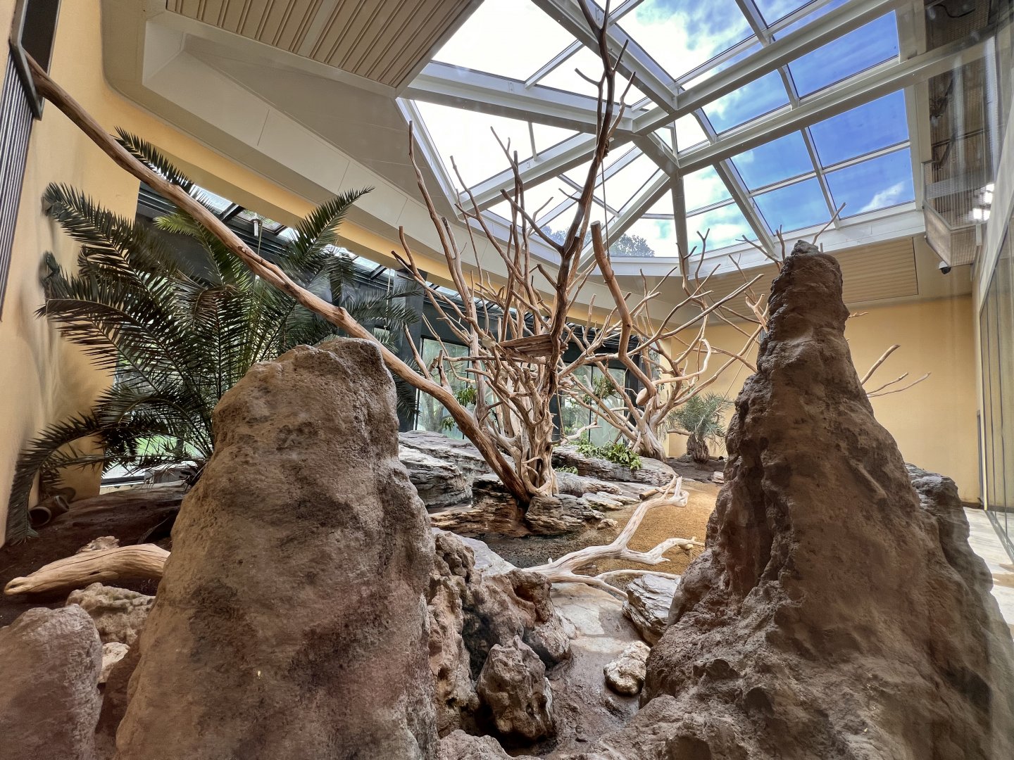 King Colobus & Meerkat Indoor Exhibit