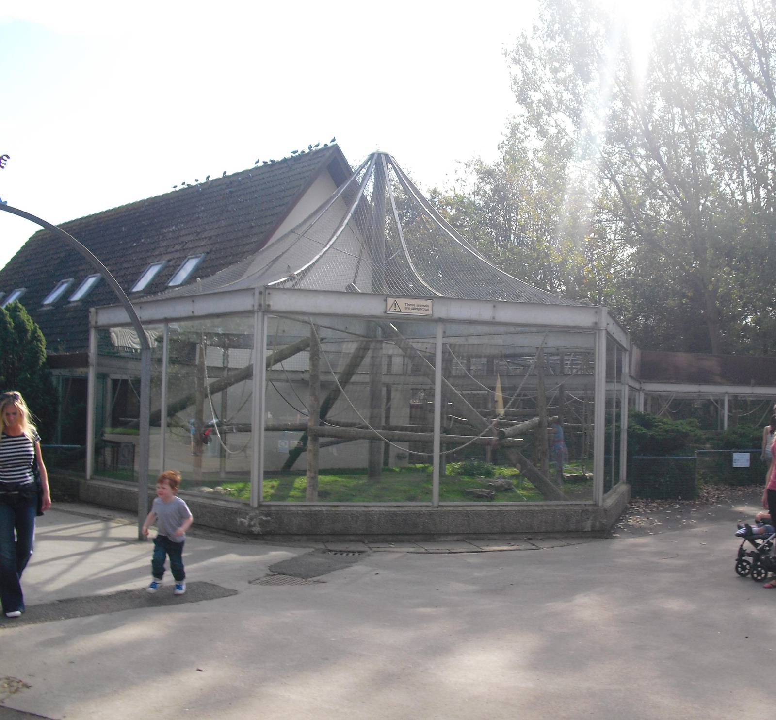 King Colobus Outdoor Enclosure (?) - 01/10/2011