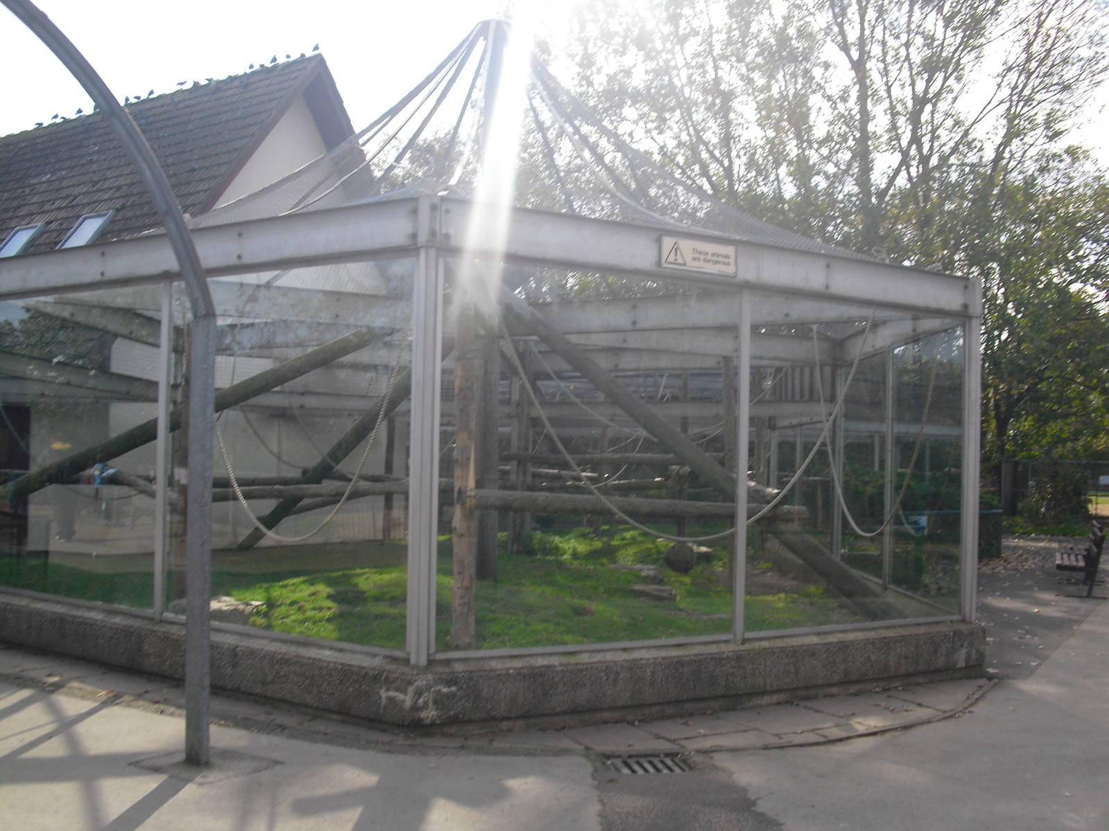 King Colobus Outdoor Enclosure (?) - 01/10/2011