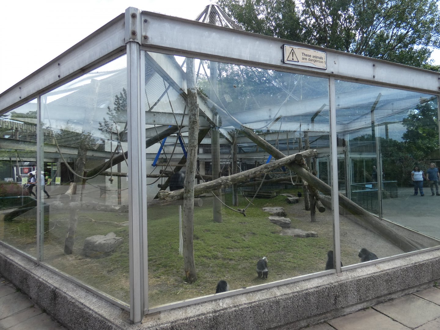 King colobus outdoor enclosure