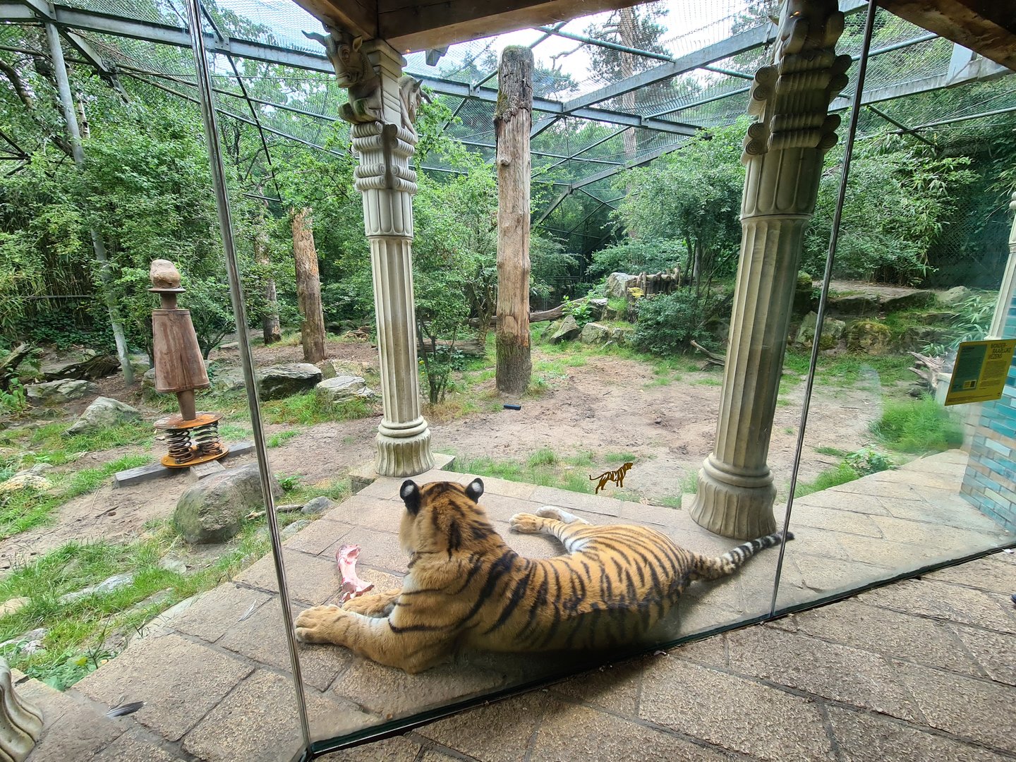 King Darius's palace - Siberian tiger enclosure