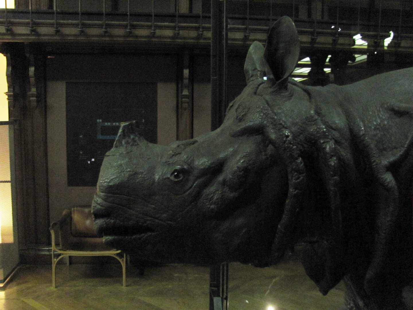 King Louis 15th's Rhinoceros