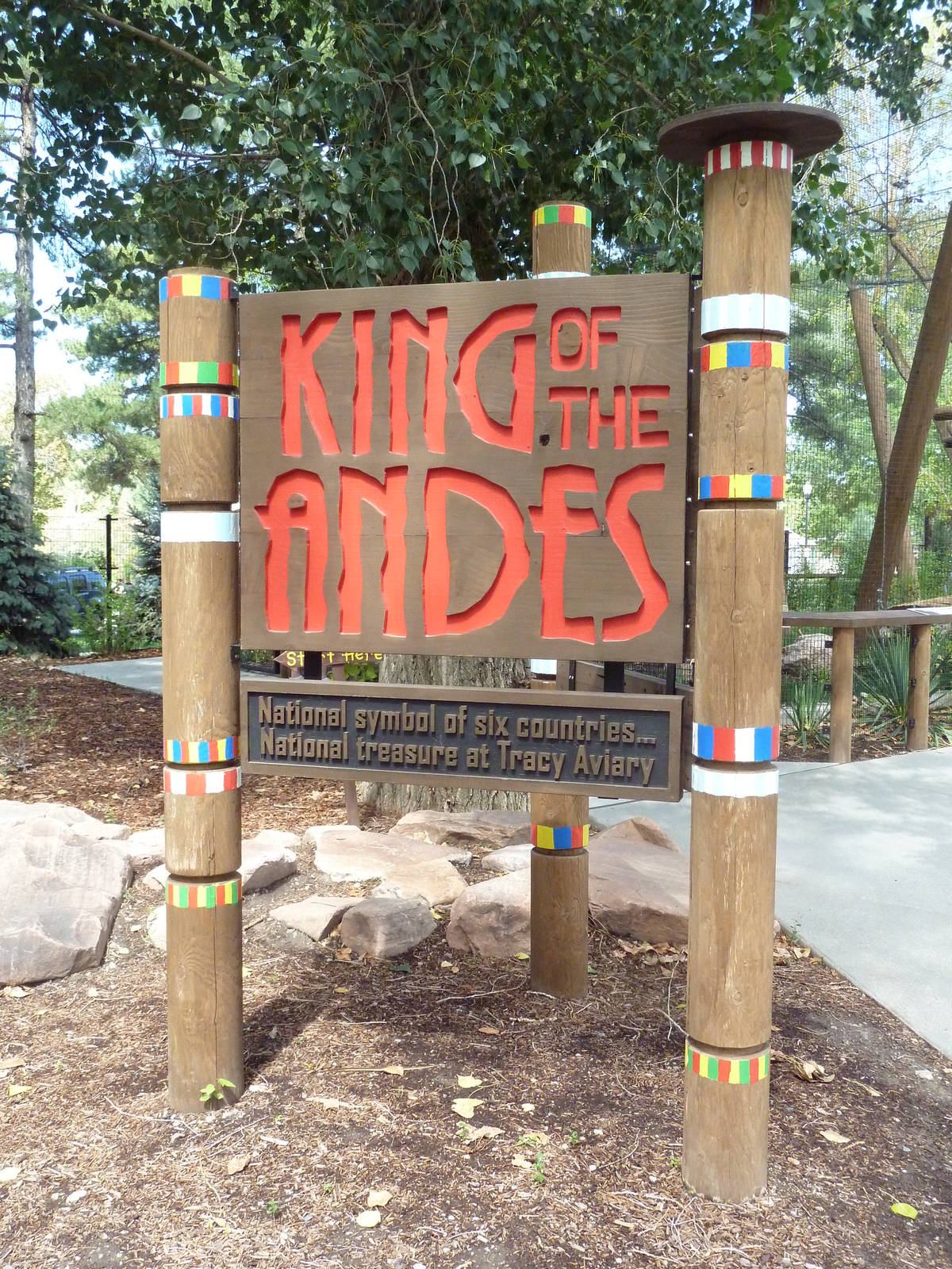 King of the Andes - Andean Condor Exhibit (New in 2013)