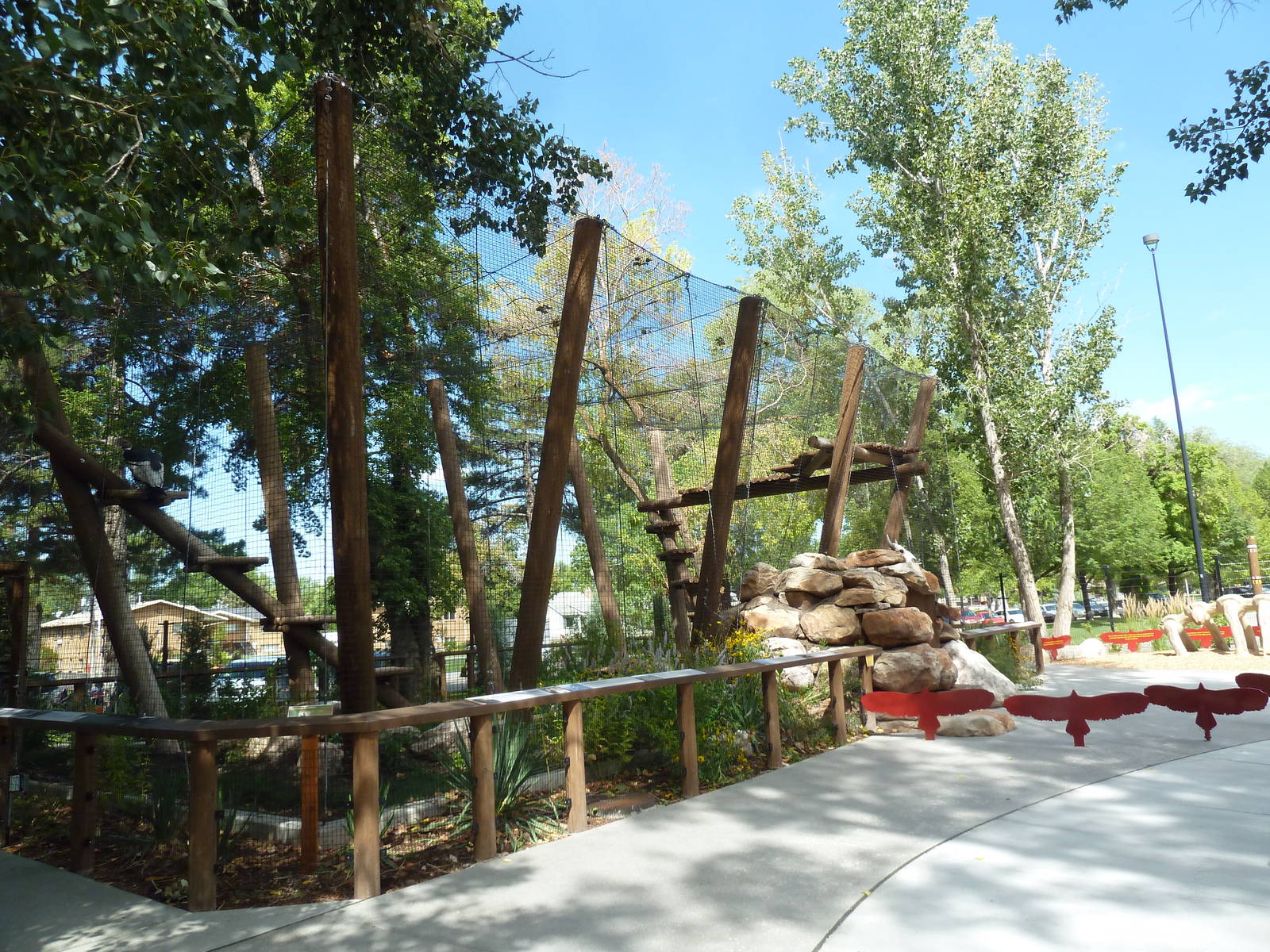 King of the Andes - Andean Condor Exhibit (New in 2013)