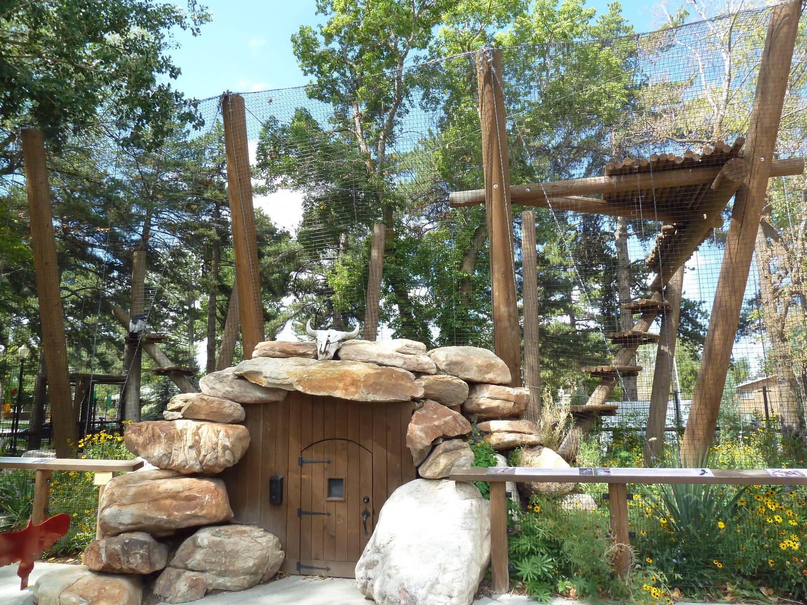 King of the Andes - Andean Condor Exhibit (New in 2013)