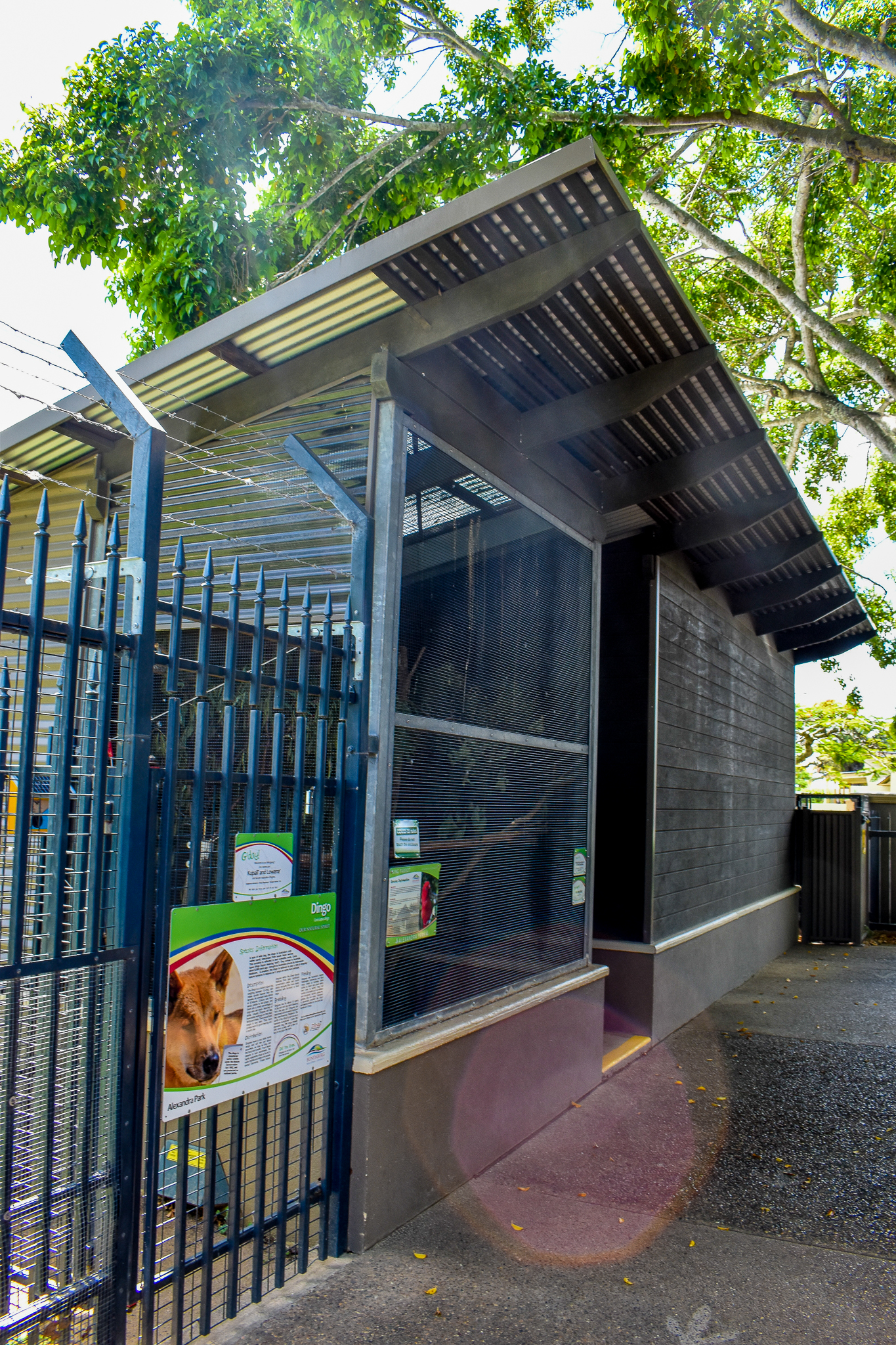 King Parrot Enclosure