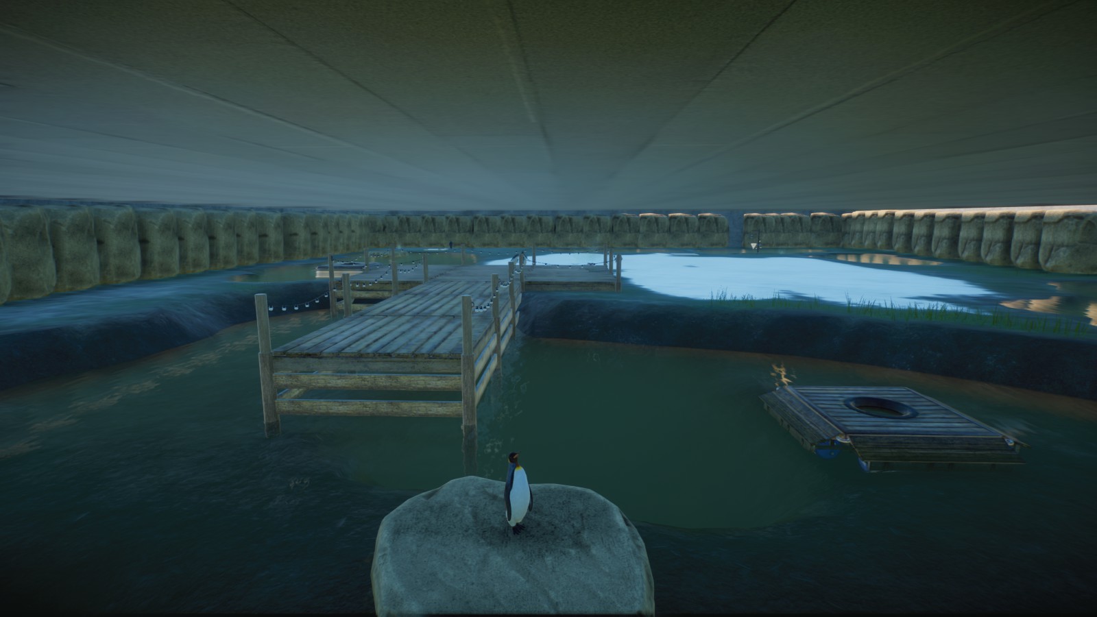 King Penguin Enclosure