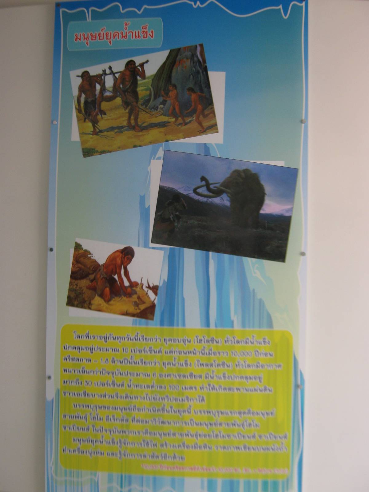 King Penguin House, mammoth signage