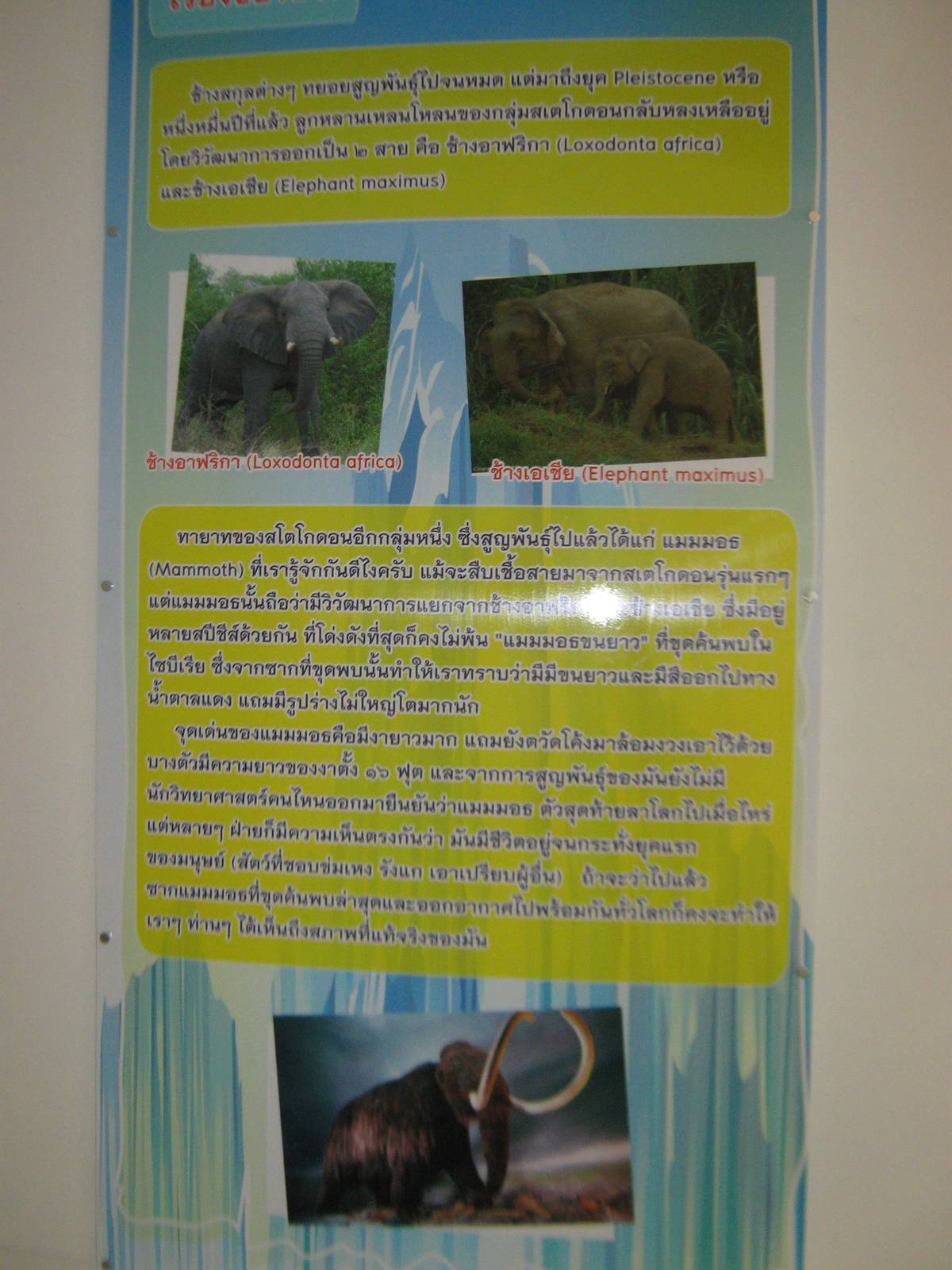 King Penguin House, mammoth signage