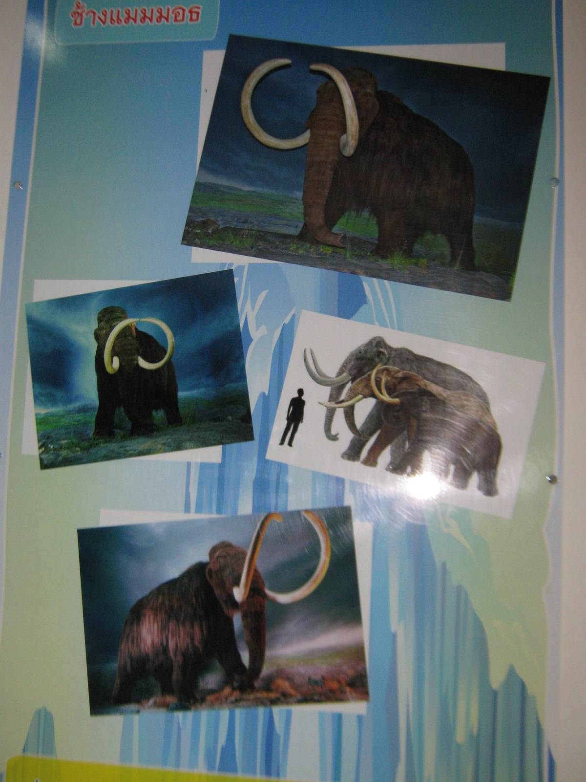 King Penguin House, mammoth signage