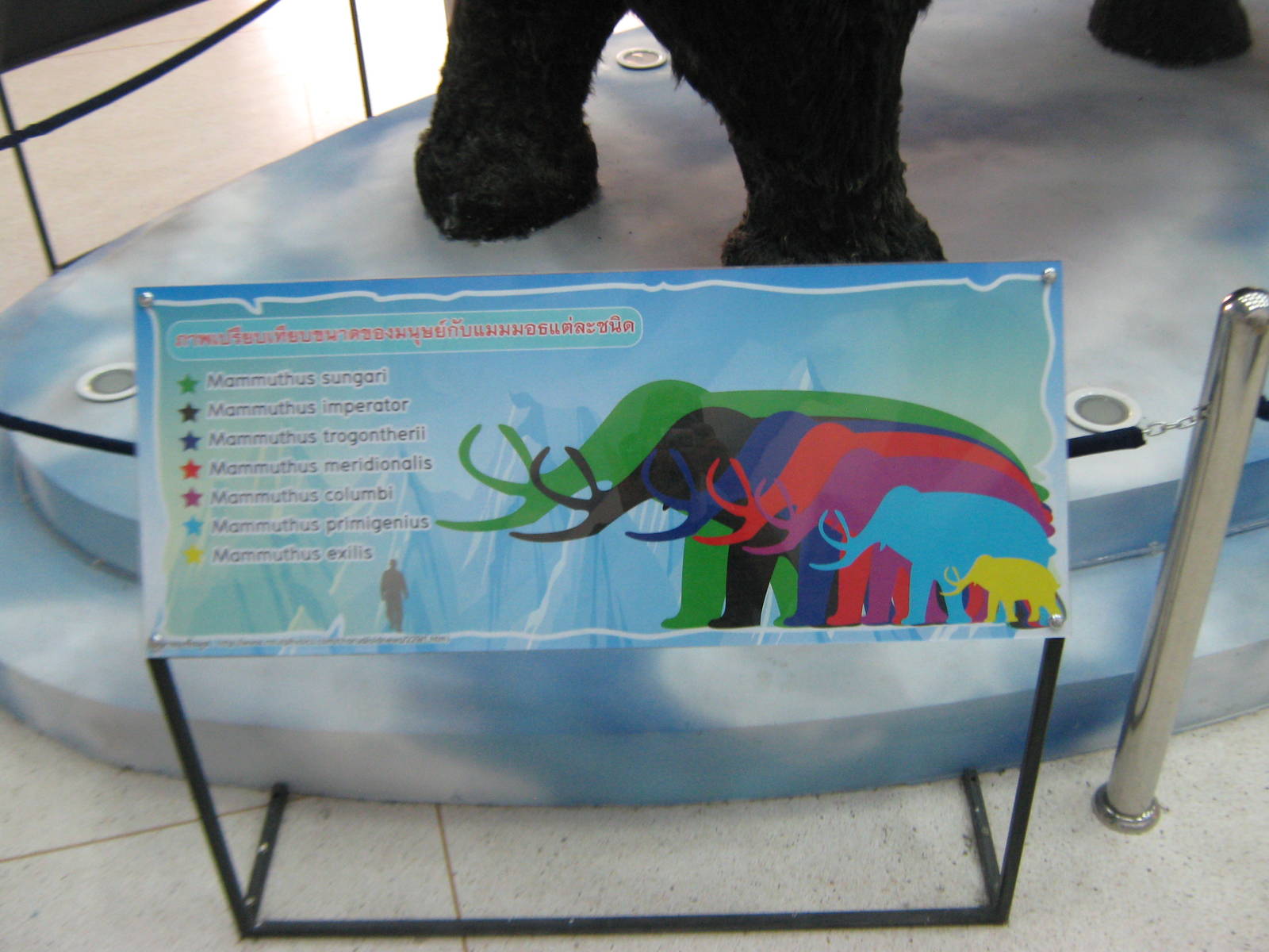 King Penguin House, mammoth signage