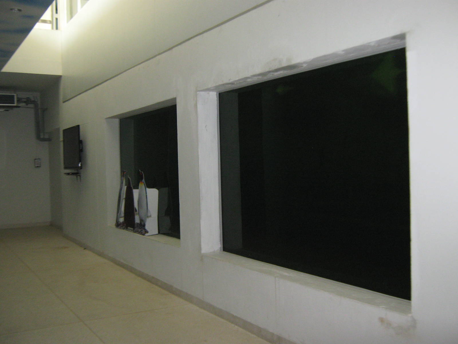 King Penguin House, underwater viewing