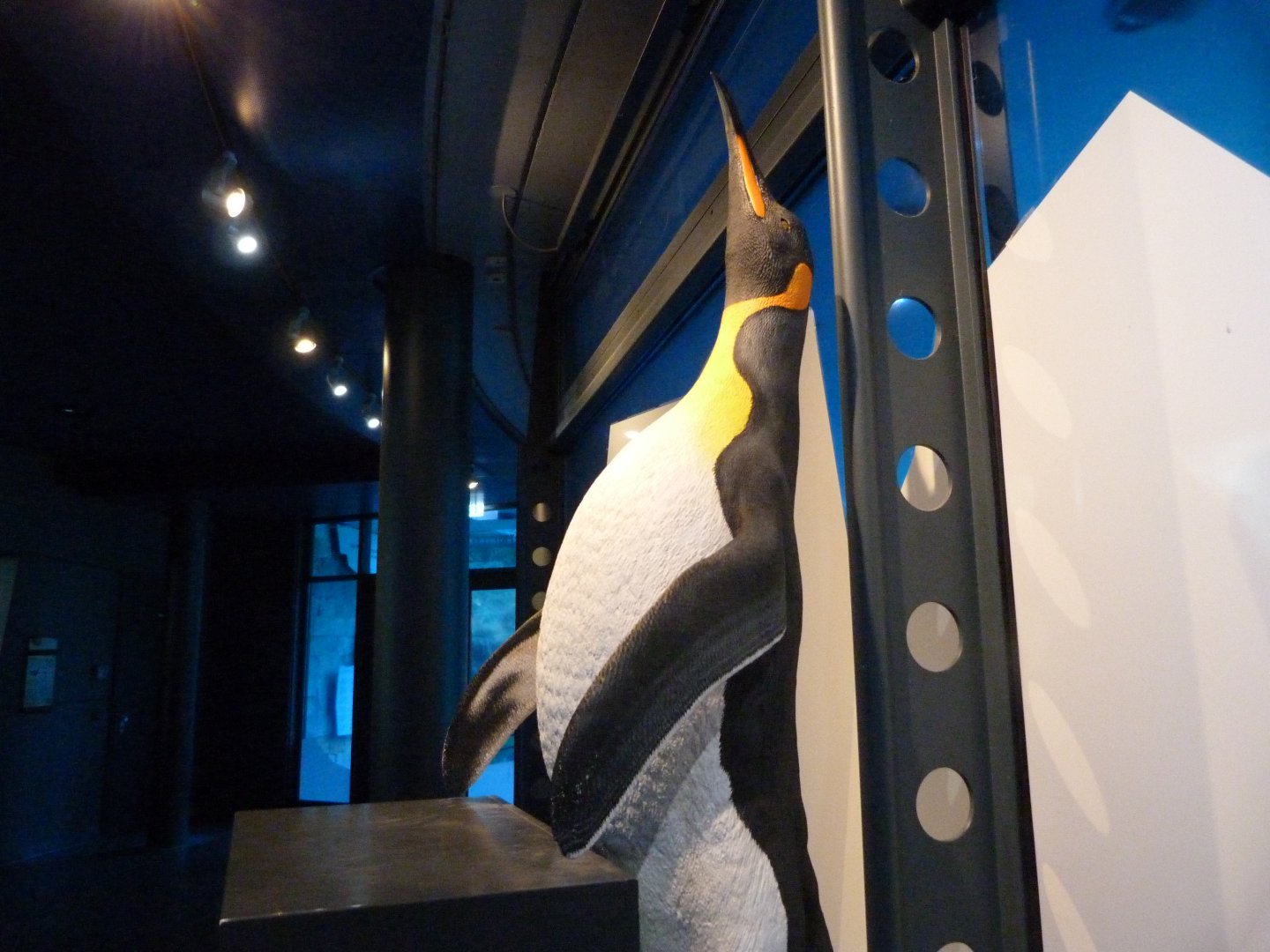 King penguin statue -Zoologischer Garten Berlin (2024)