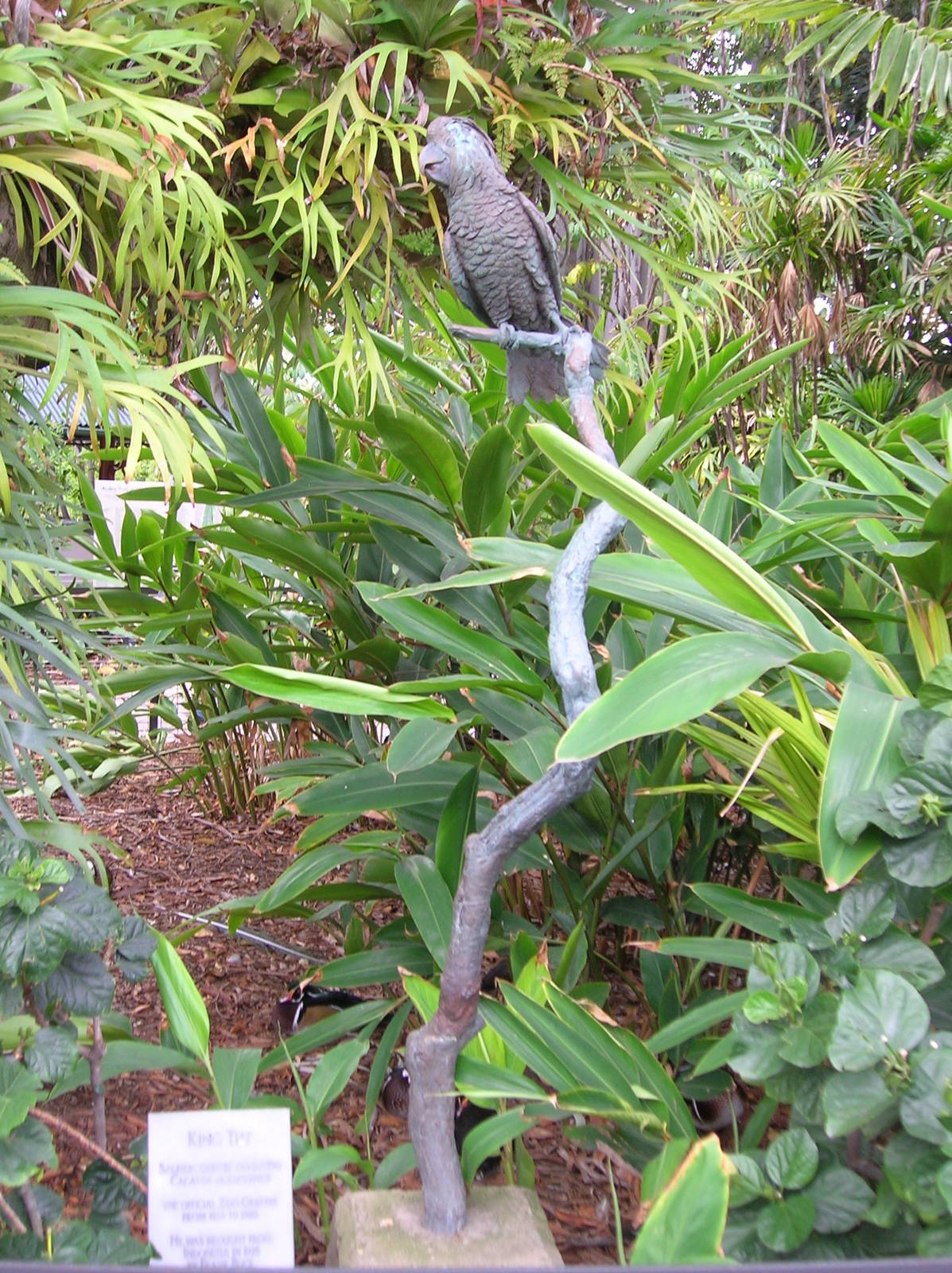King Tut Statue 1-21-09