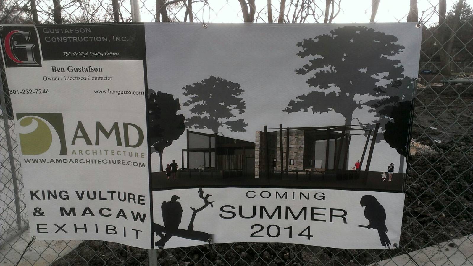 King Vulture and Macaw Exhibit Concept Art