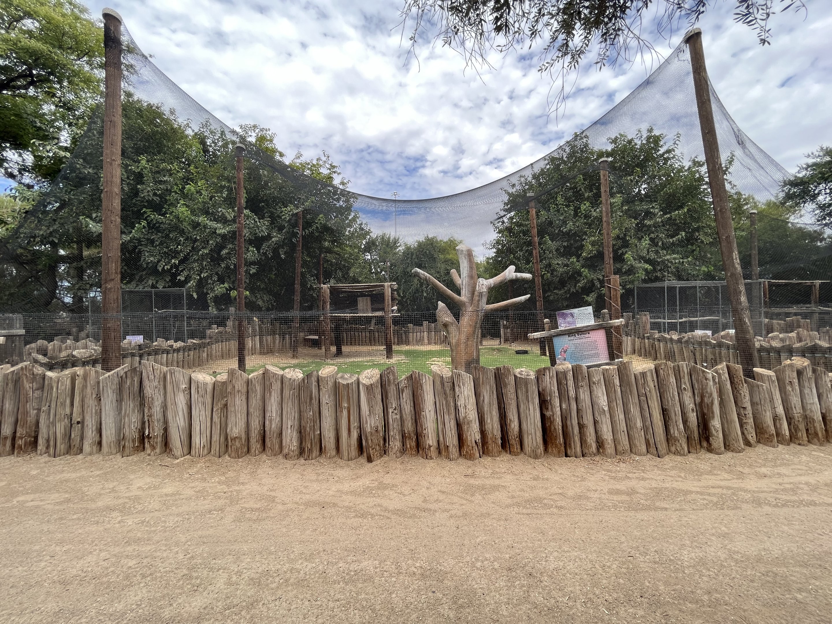 King Vulture/Blue Duiker Exhibit