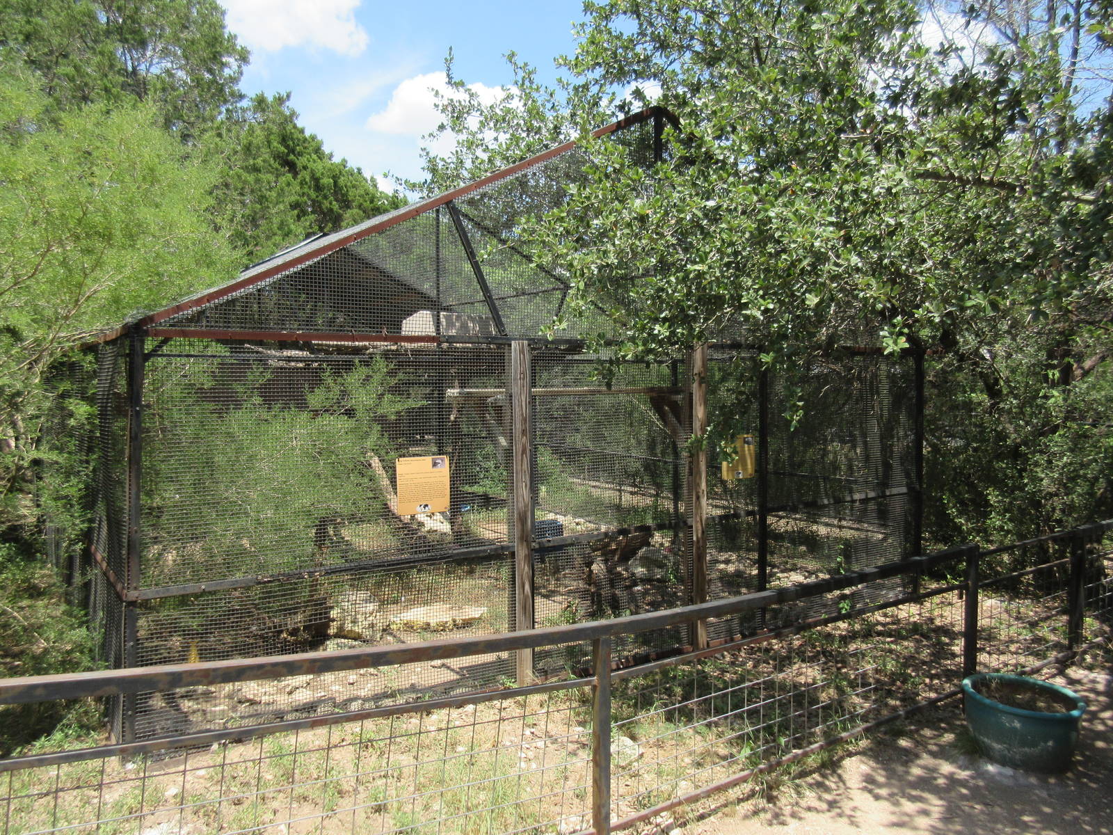King Vulture/Coendou Exhibit