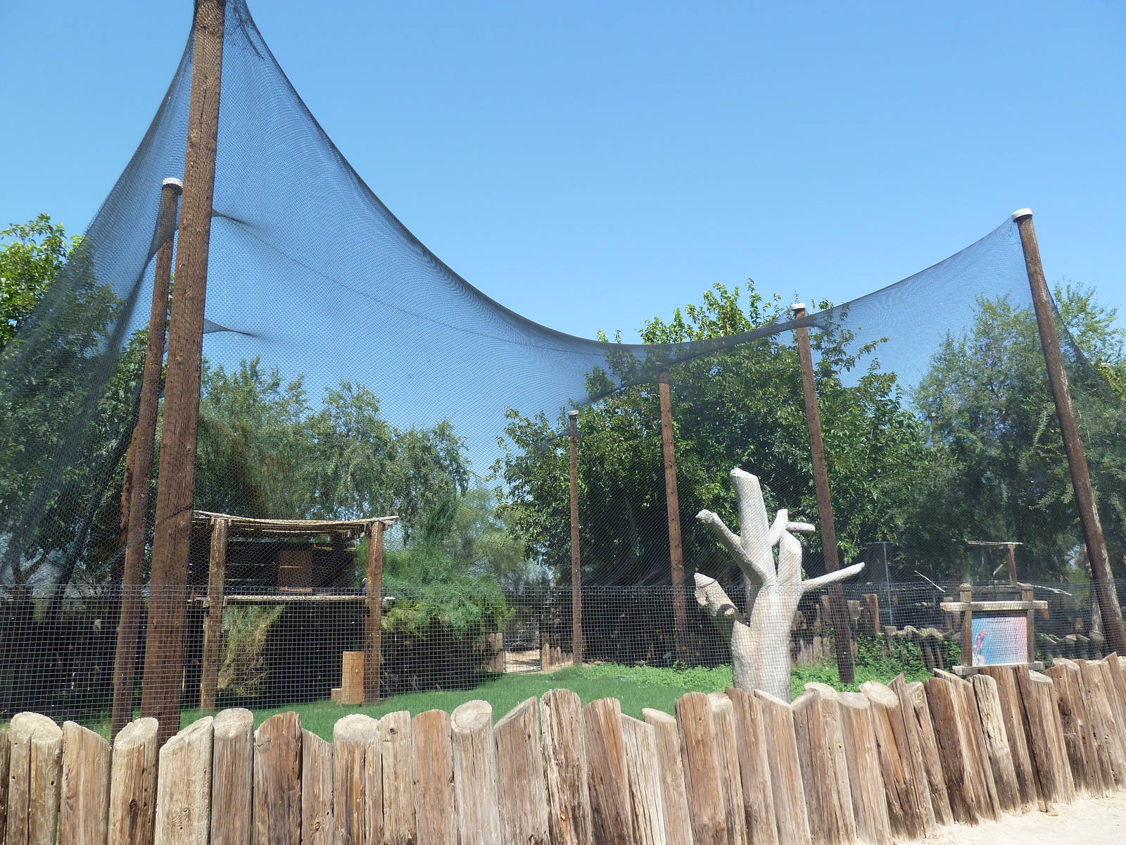 King Vulture Exhibit