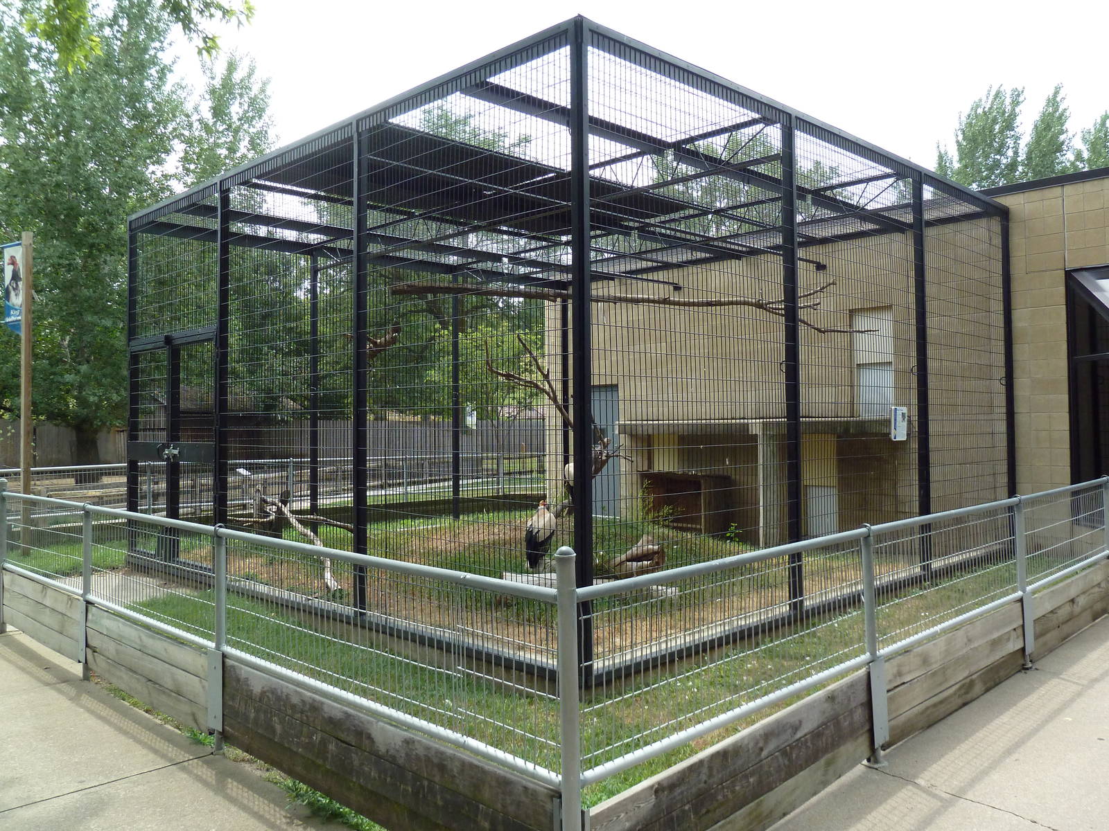 King Vulture Exhibit