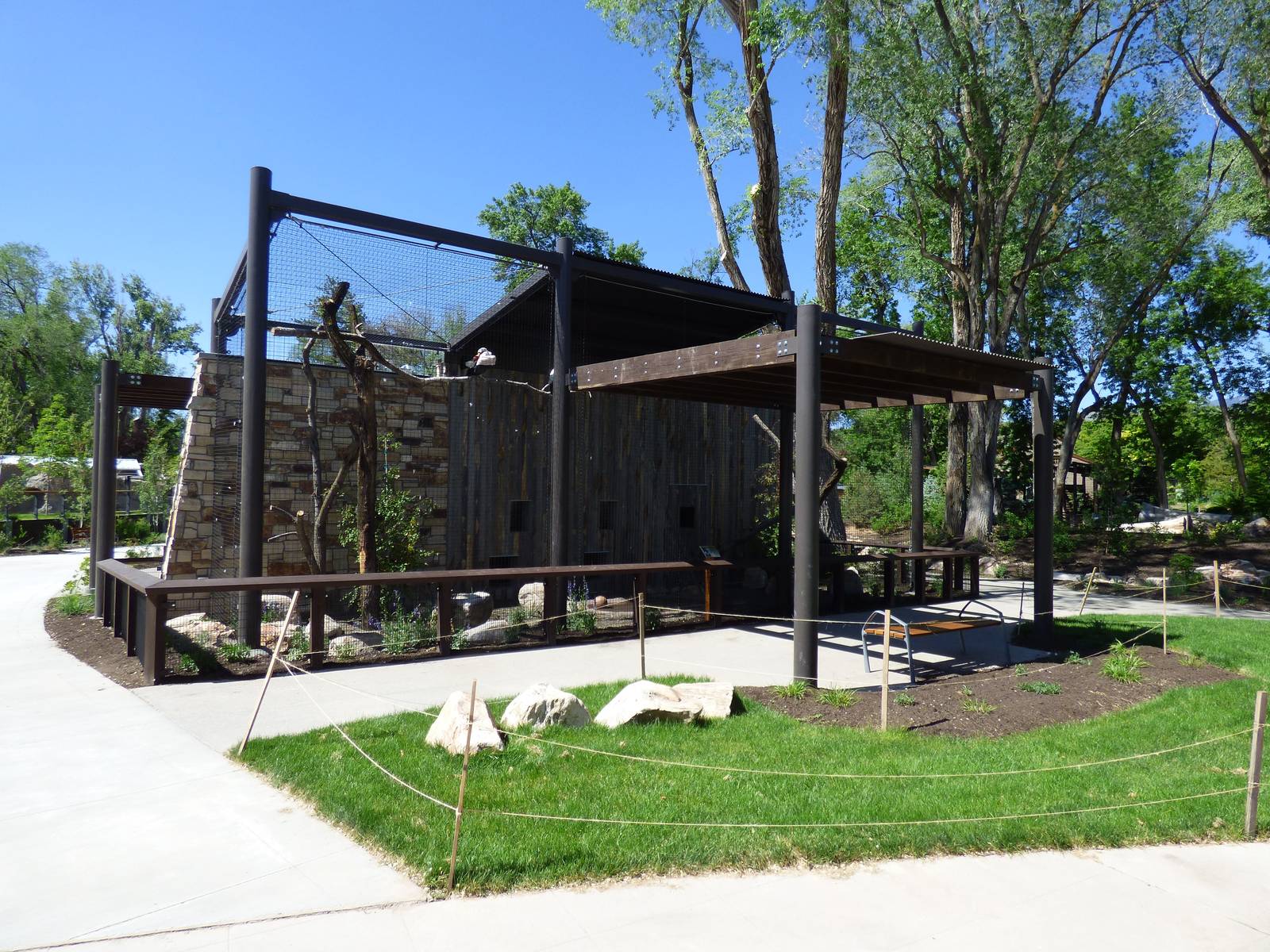 King Vulture Exhibit