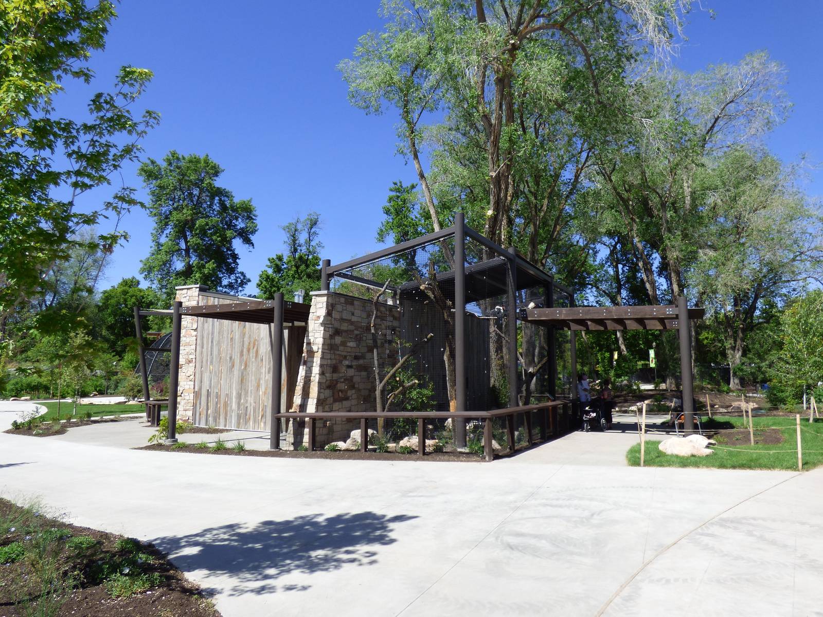 King Vulture Exhibit
