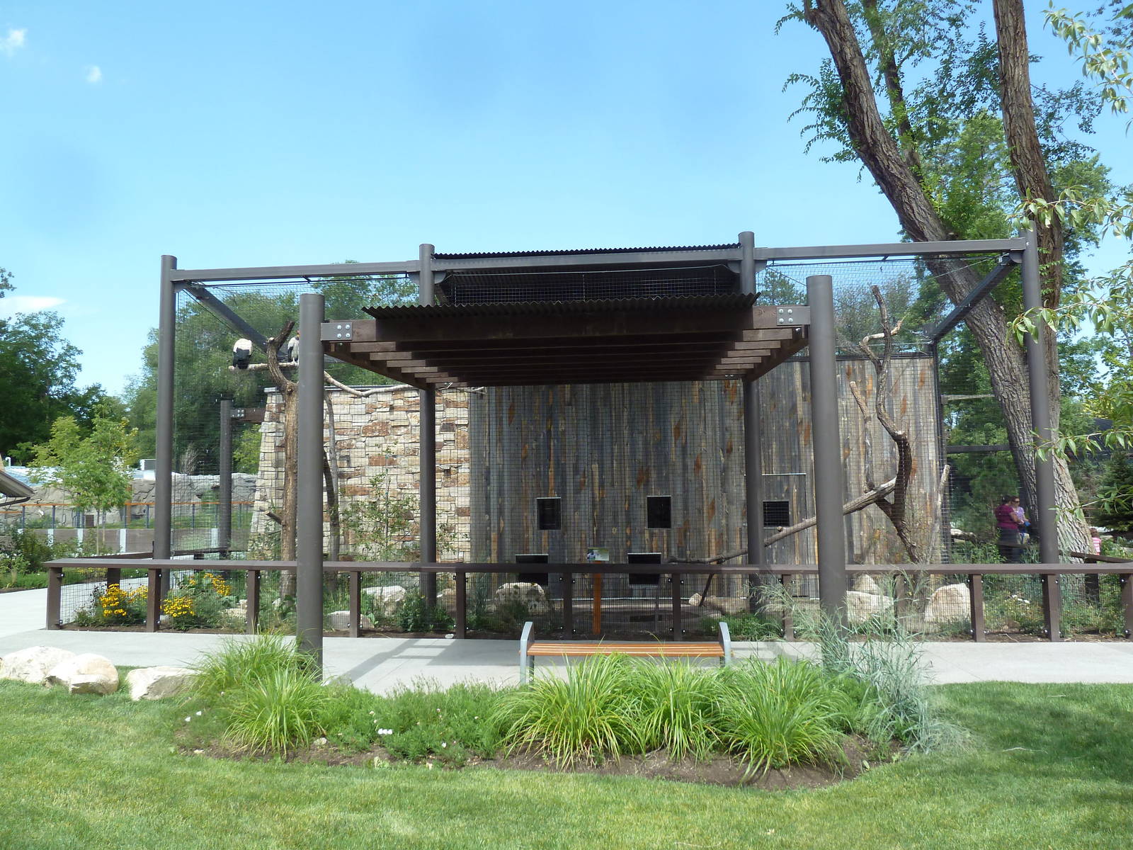 King Vulture Exhibit