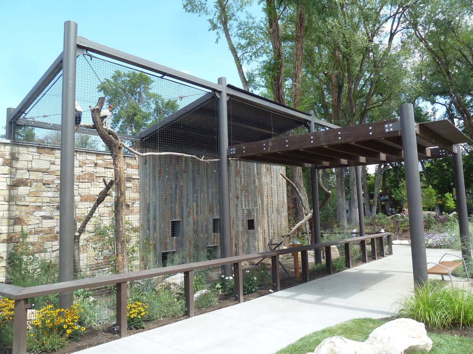King Vulture Exhibit