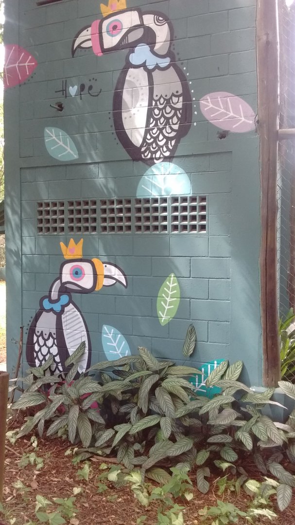 King vulture mural / art