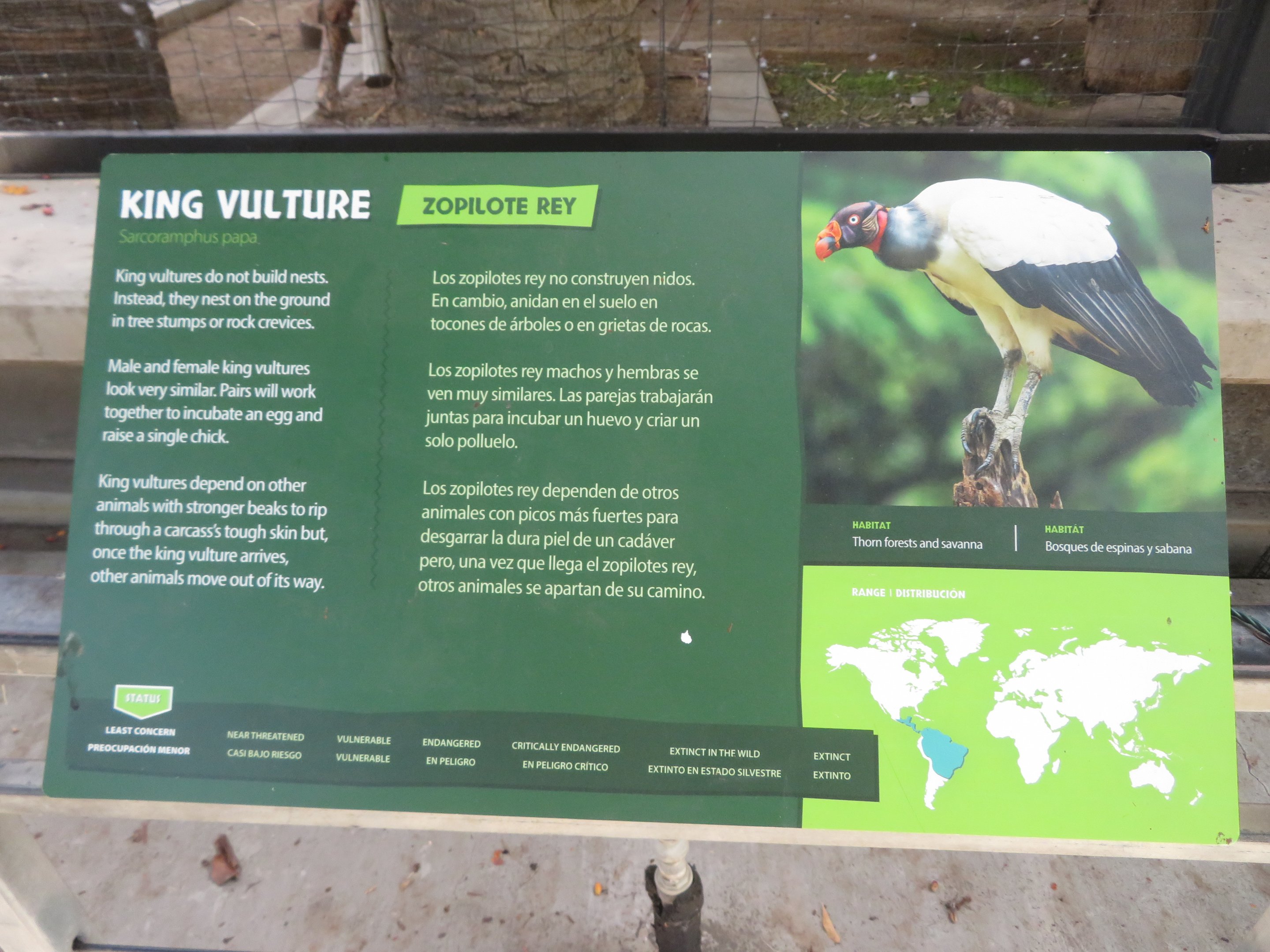 King Vulture Signage
