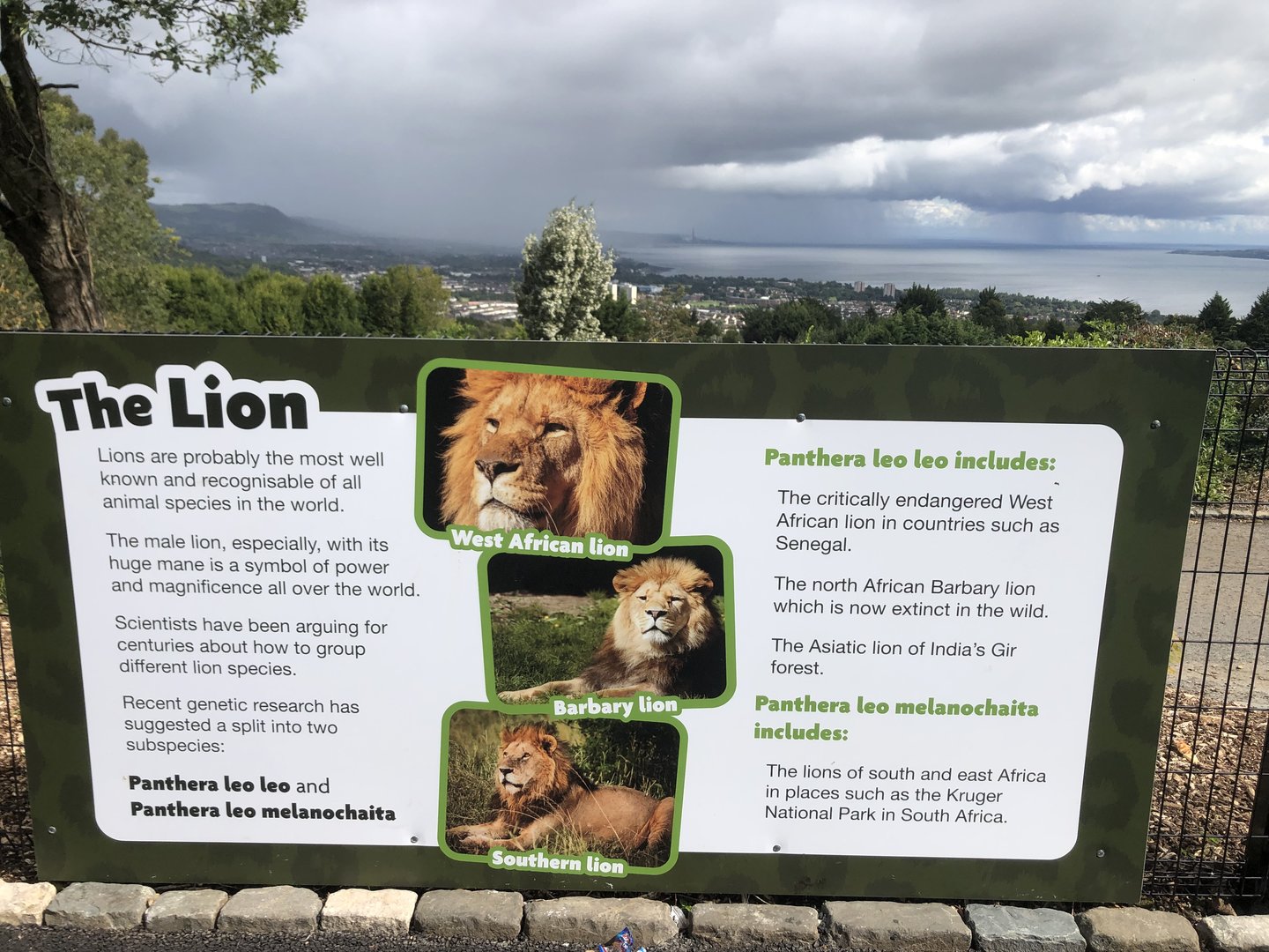 Kingdom of the Barbary Lion - new signage