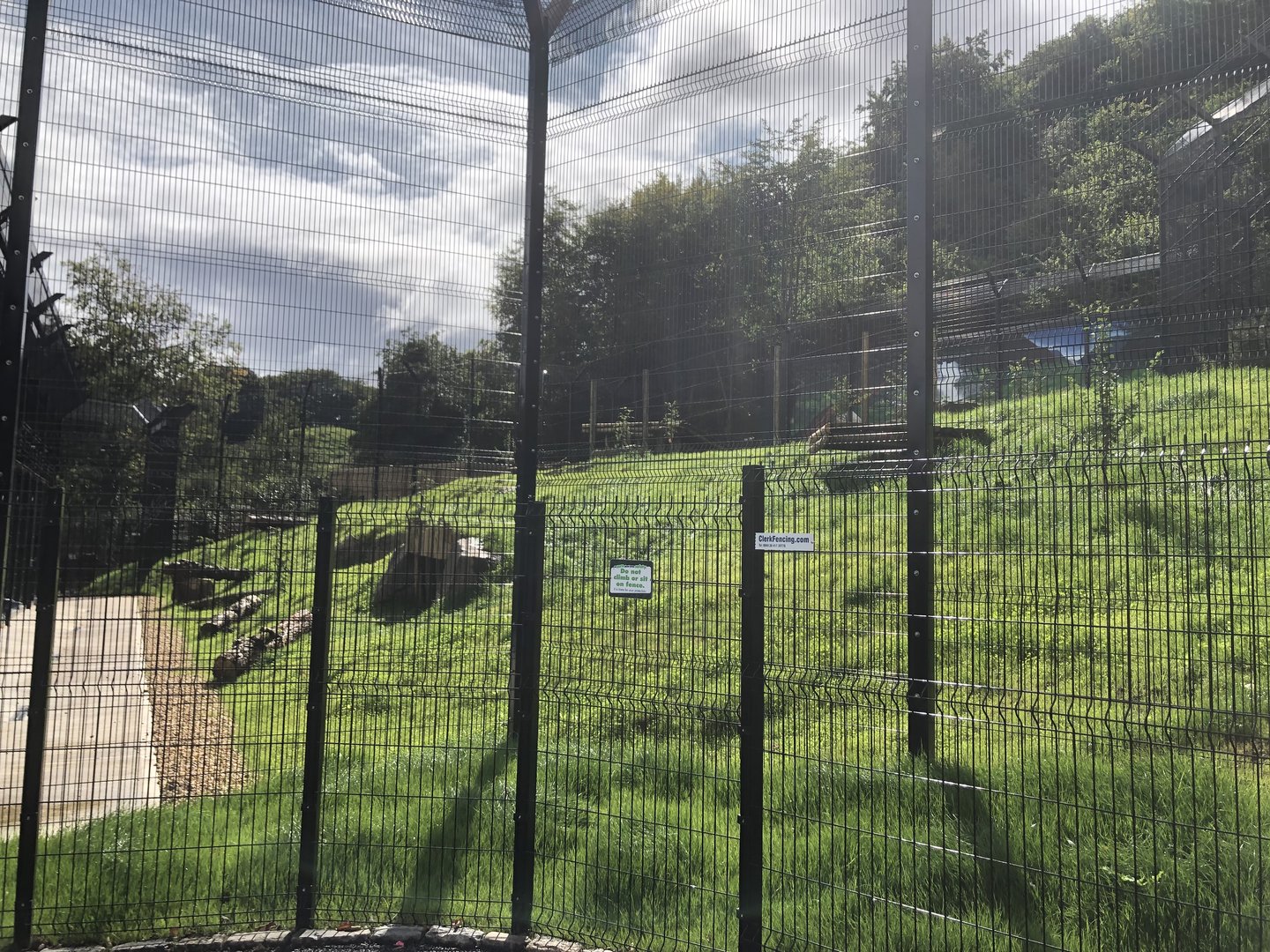 Kingdom of the Barbary Lion