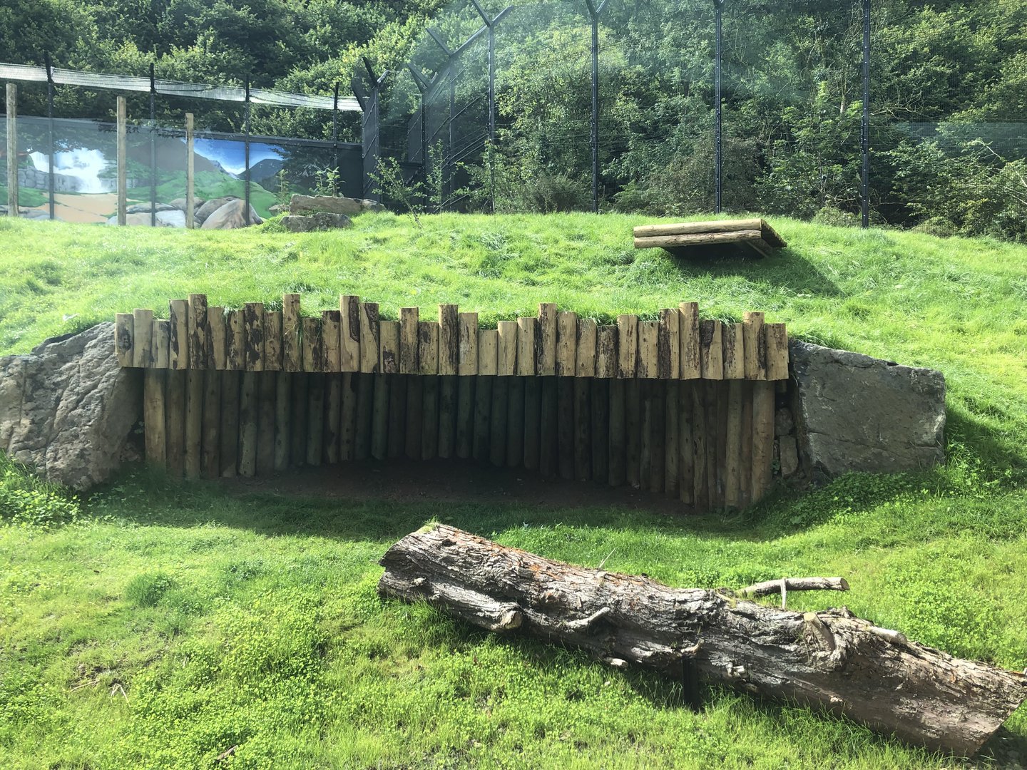 Kingdom of the Barbary Lion