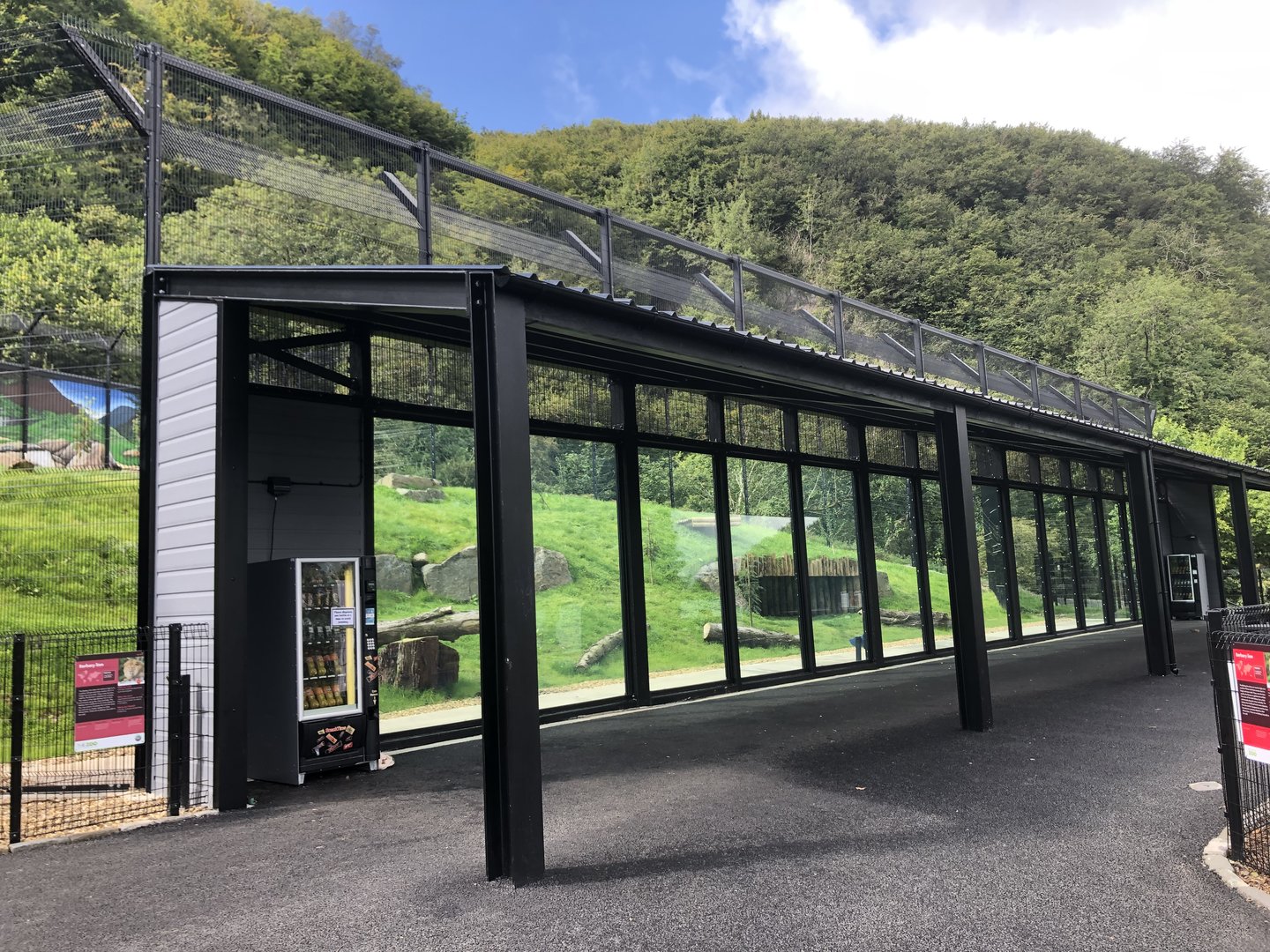 Kingdom of the Barbary Lion