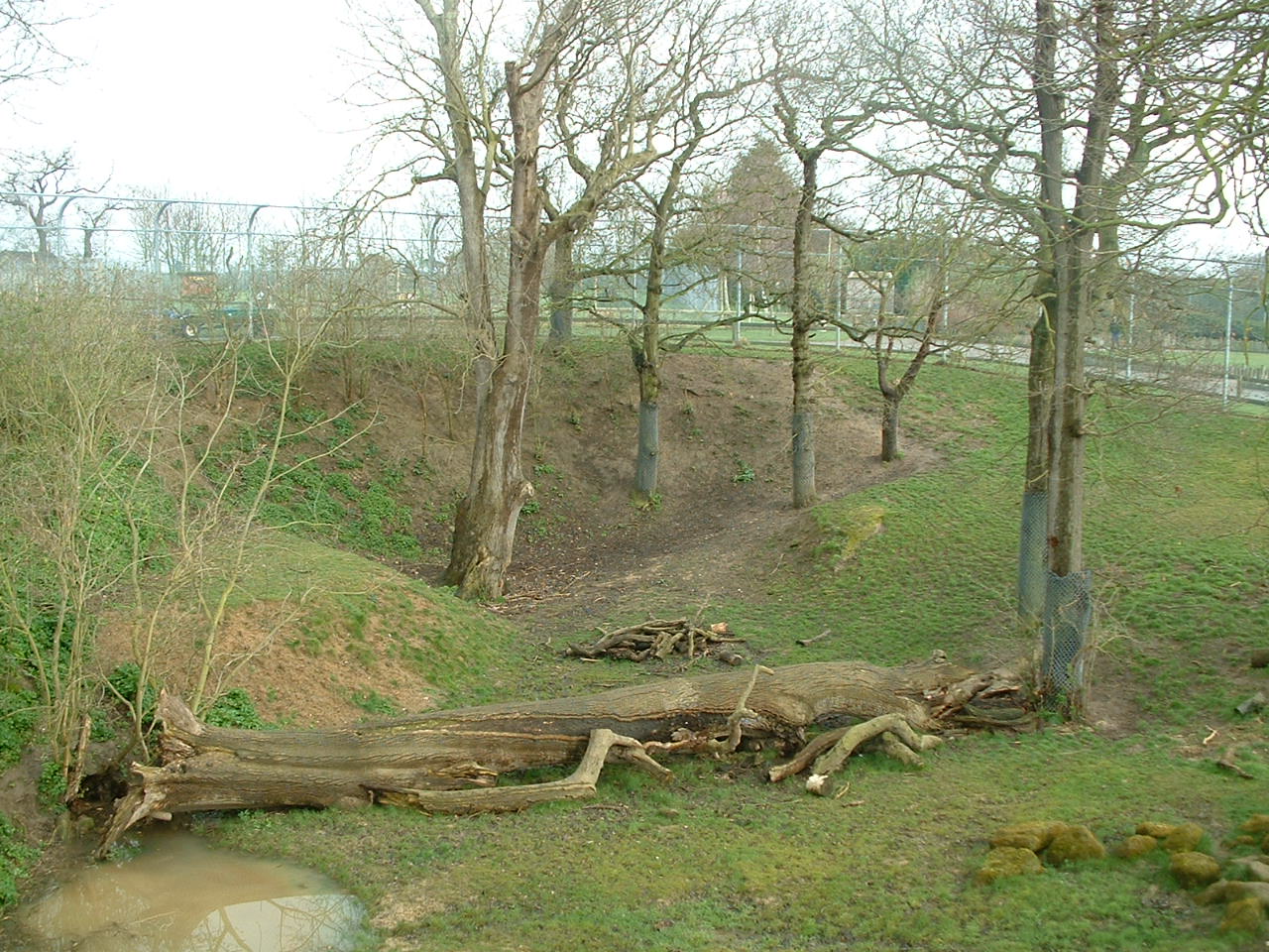 Kingdom of the Lion (from Look-Out) - Africa Alive! 2008