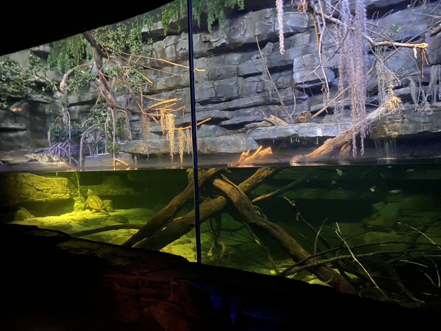 Kingdom of the Night - American Crocodile/Common Snapping Turtle/Aligator Snapping Turtle