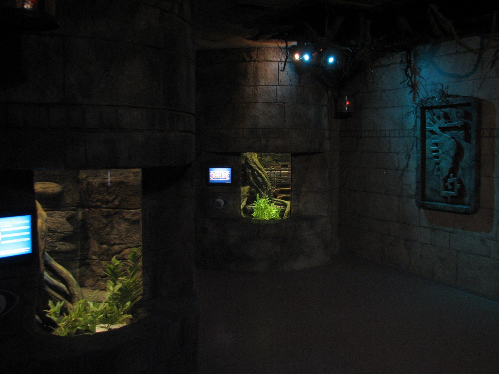 Kingdom of the Seahorse - Seahorse Exhibits